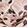 Pale Pink
