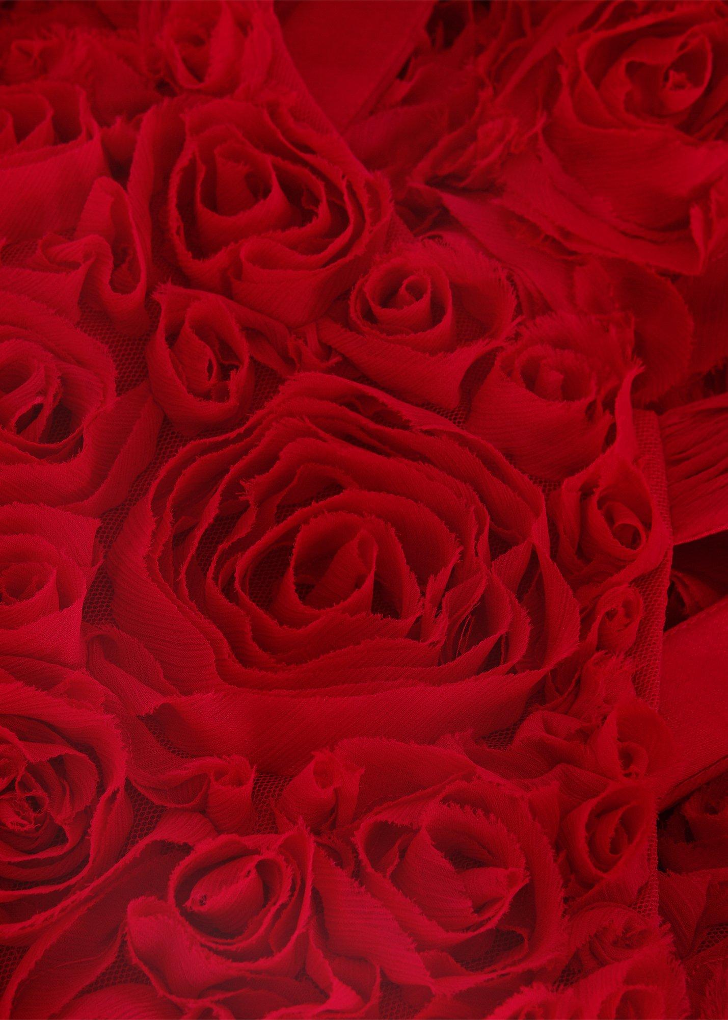 ${product-id}--Red-${view-type}