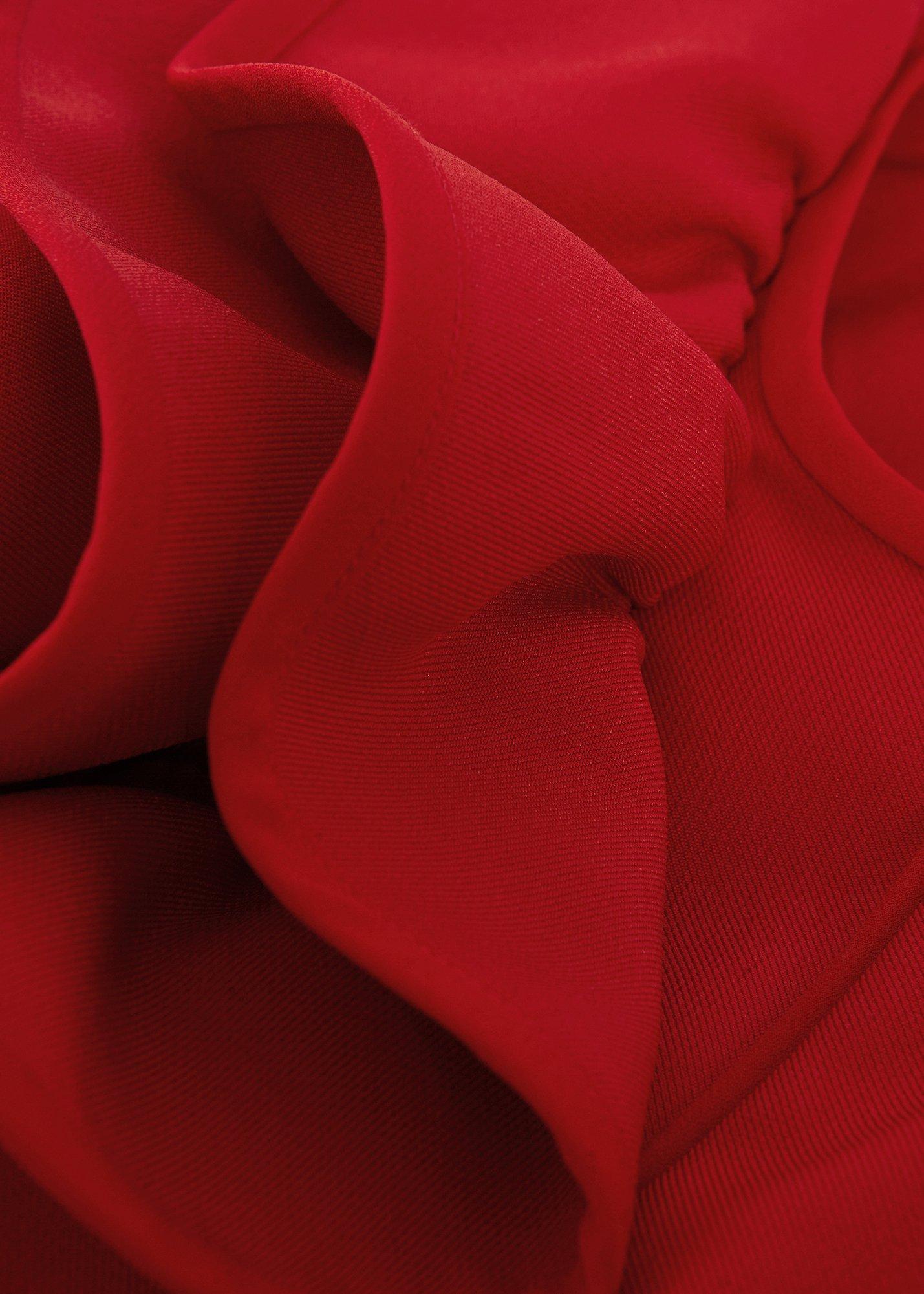 ${product-id}-Petite Tyra Dress-Red-${view-type}