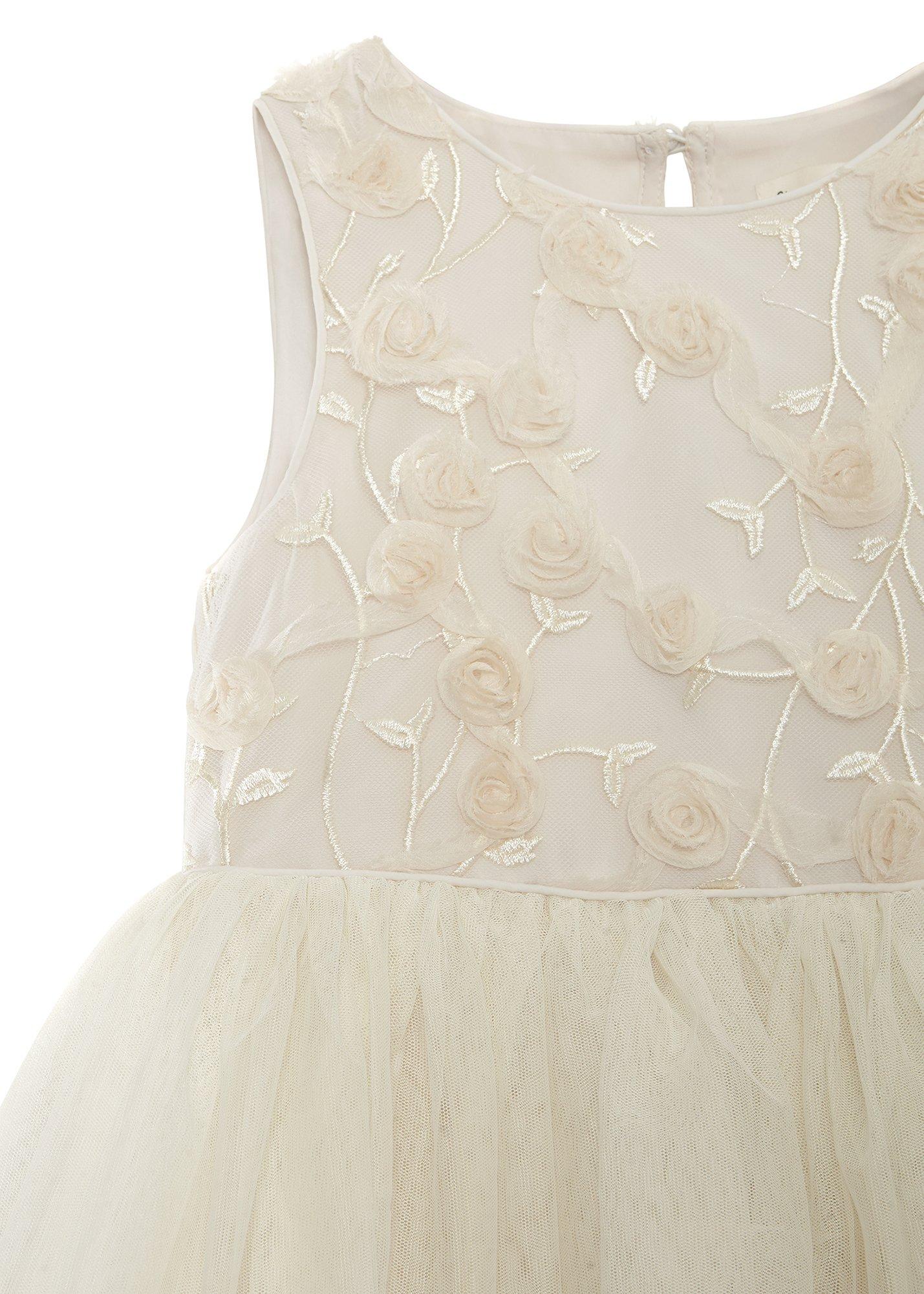 ${product-id}--Cream-${view-type}