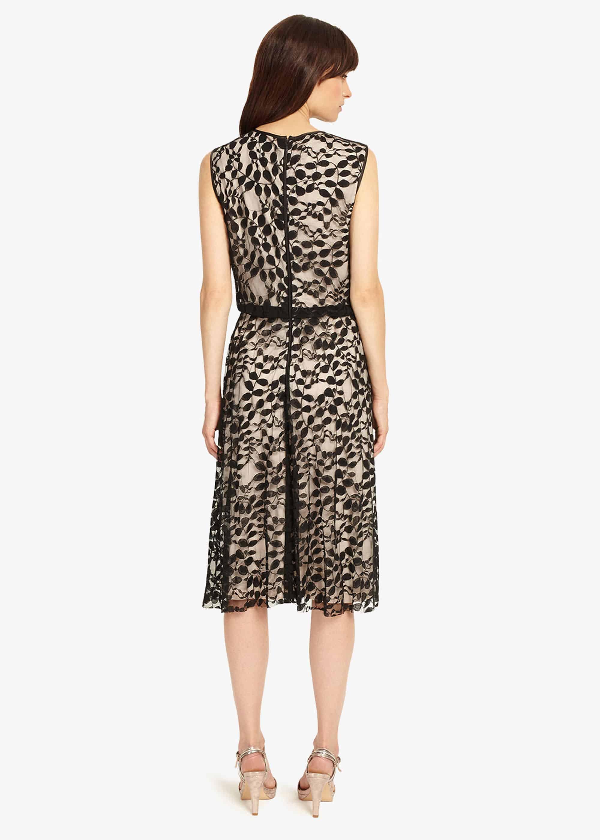 Lucinda Lace Dress | Phase Eight UK |