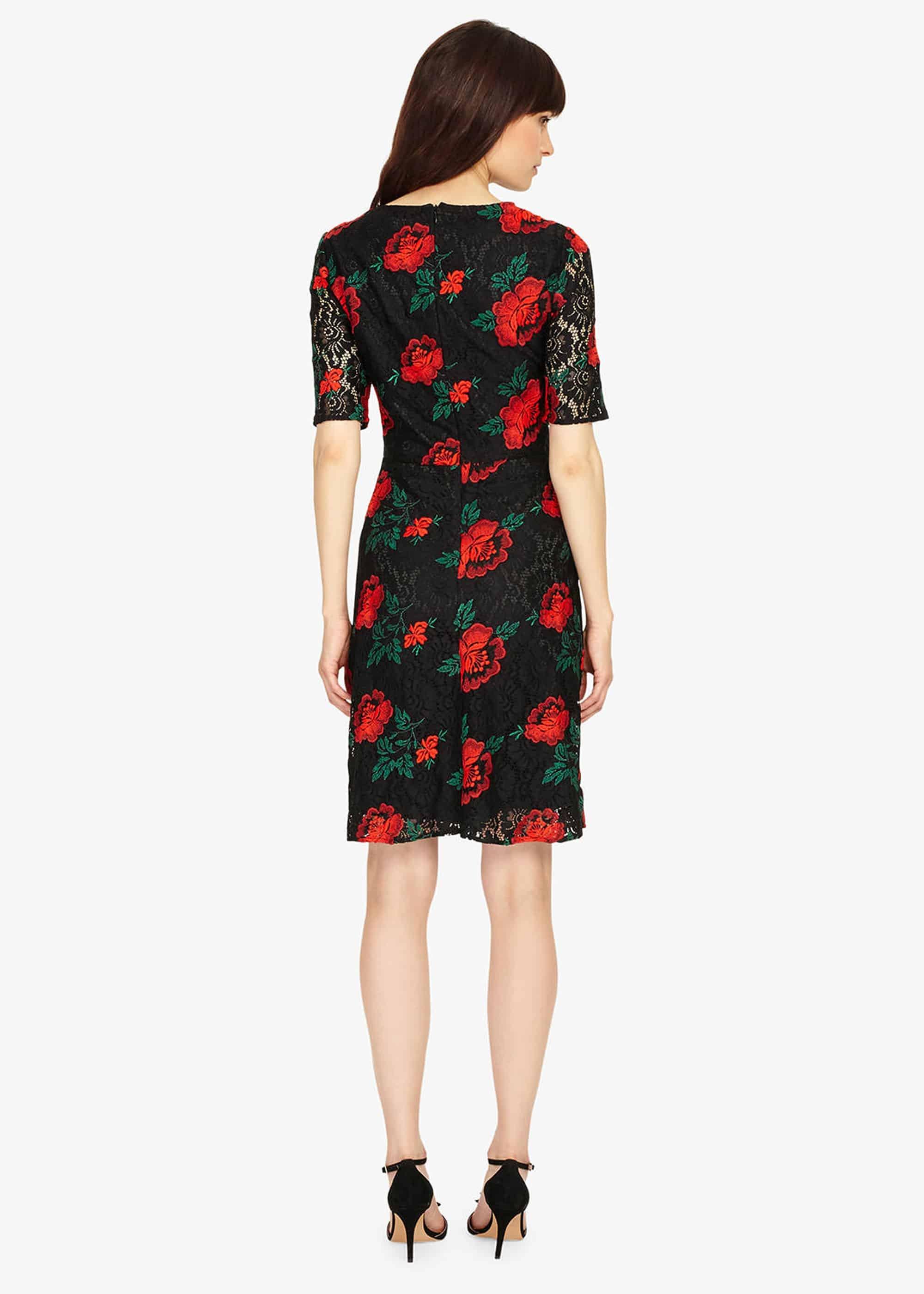 Rose Embroidered Lace Dress