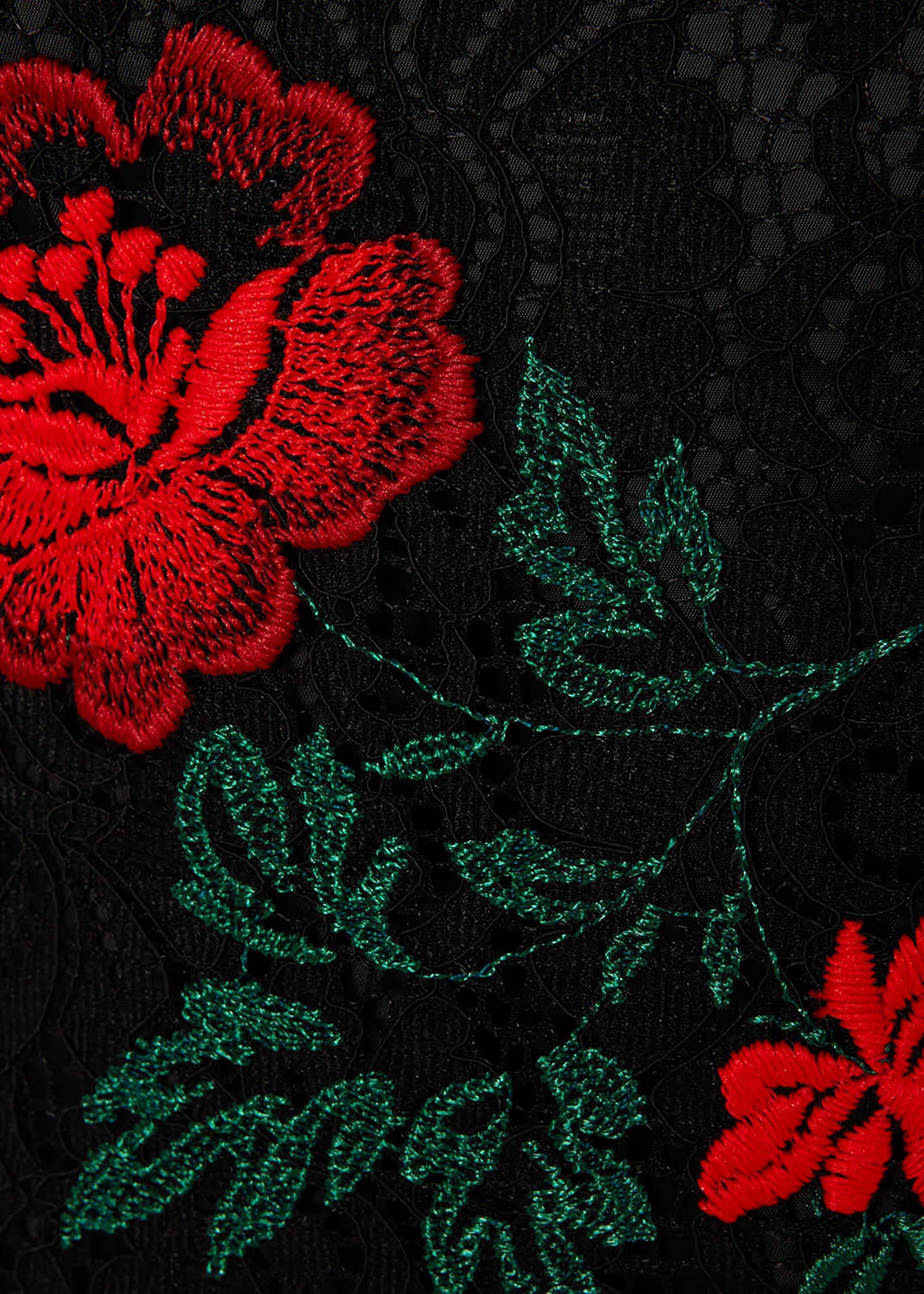 Rose Embroidered Lace Dress