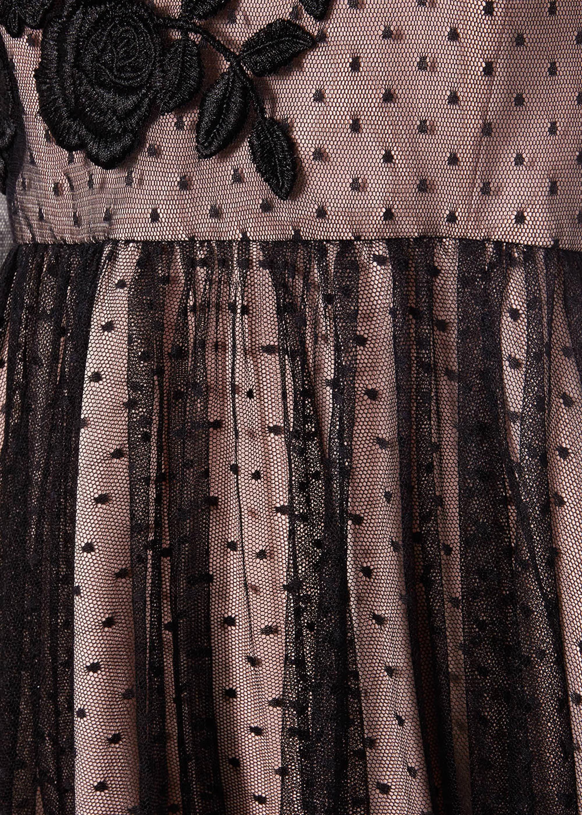 Nishi Tulle Dress