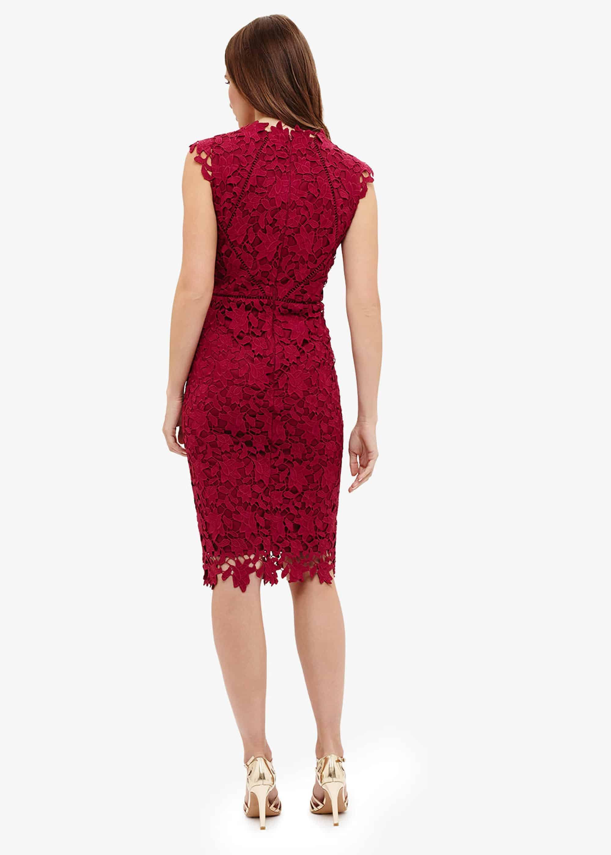 Petals Lace Dress