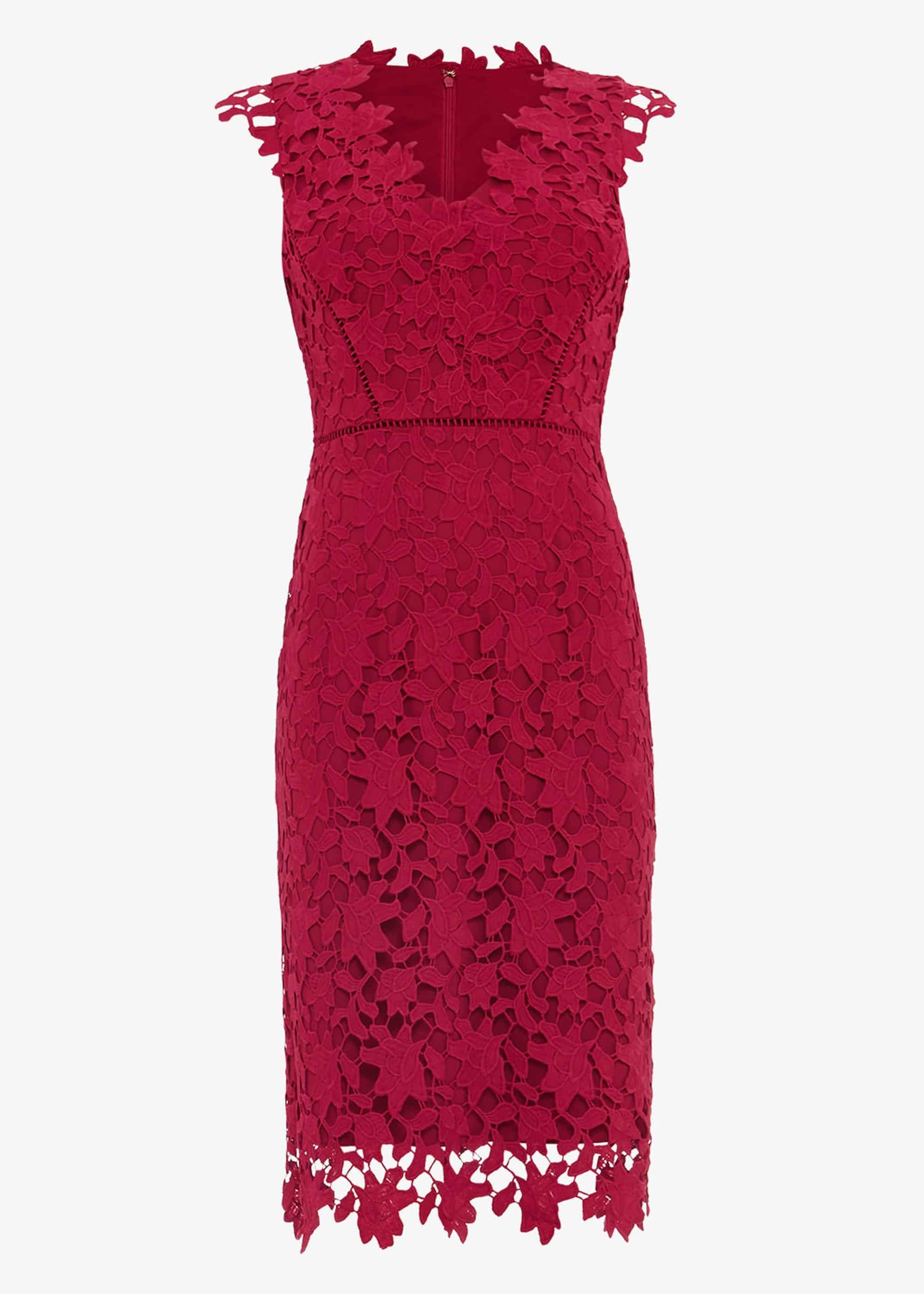Petals Lace Dress