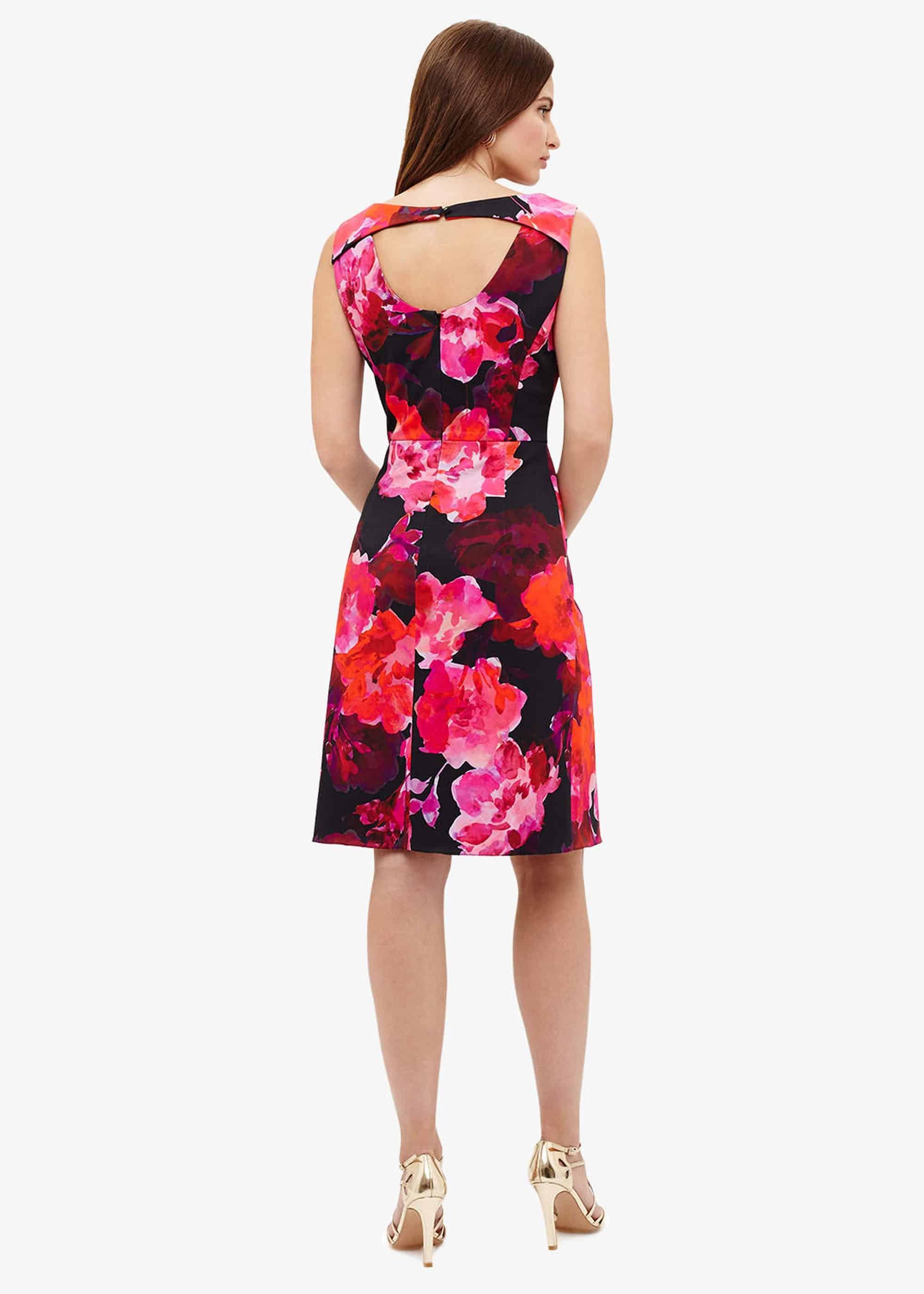 Alice Print Dress