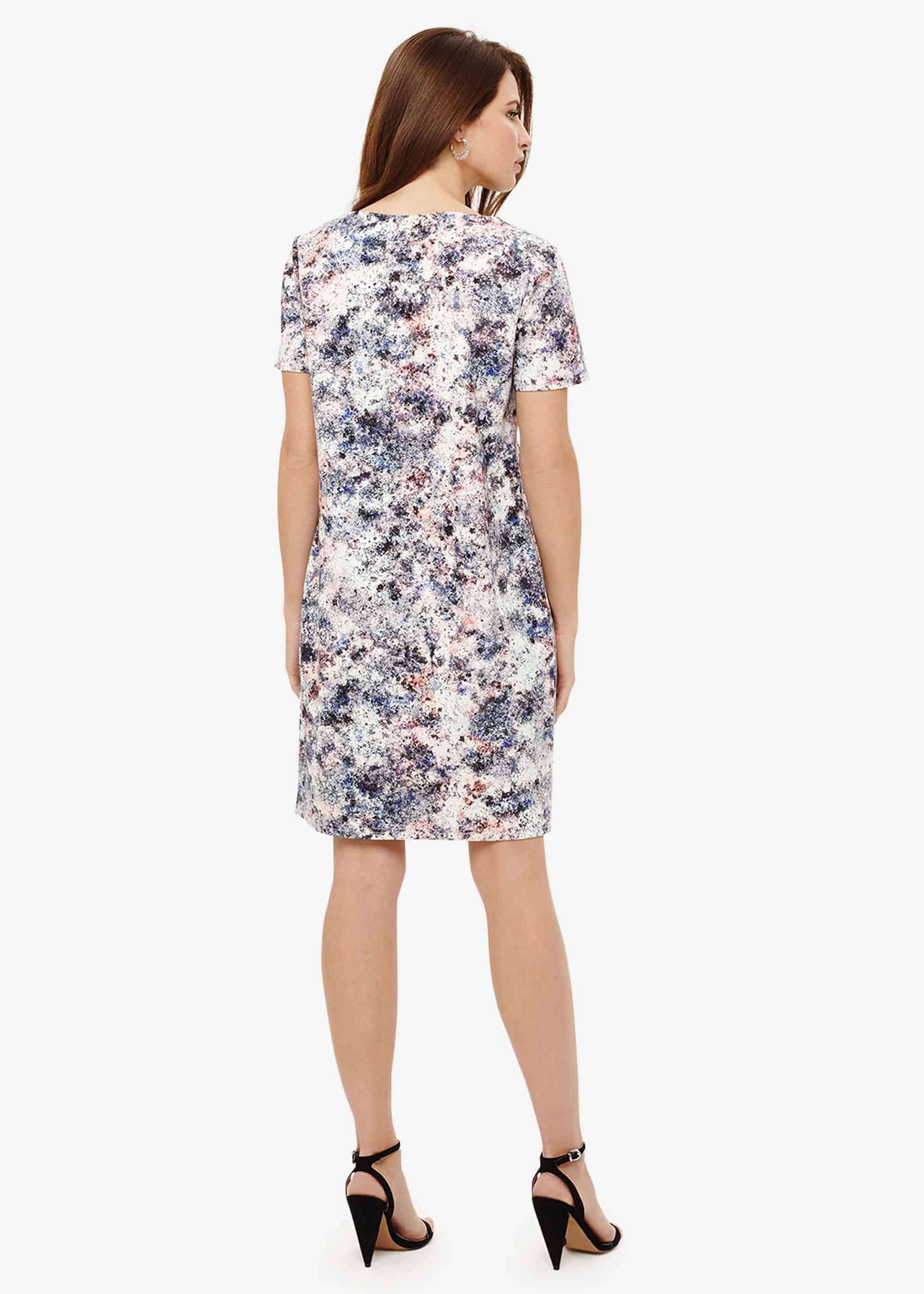 Jackson Print Dress
