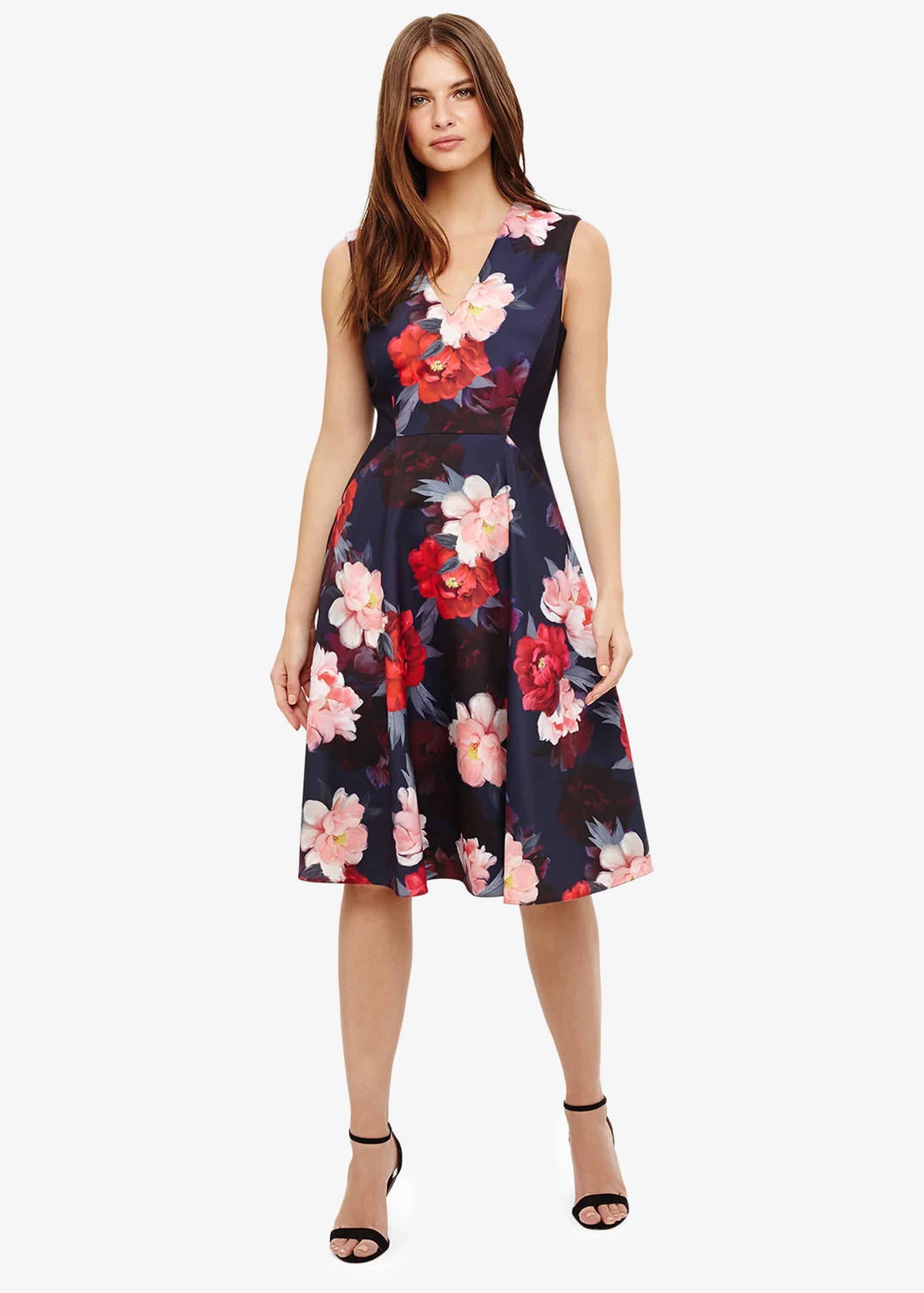 Elba Floral Fit And Flare Dress