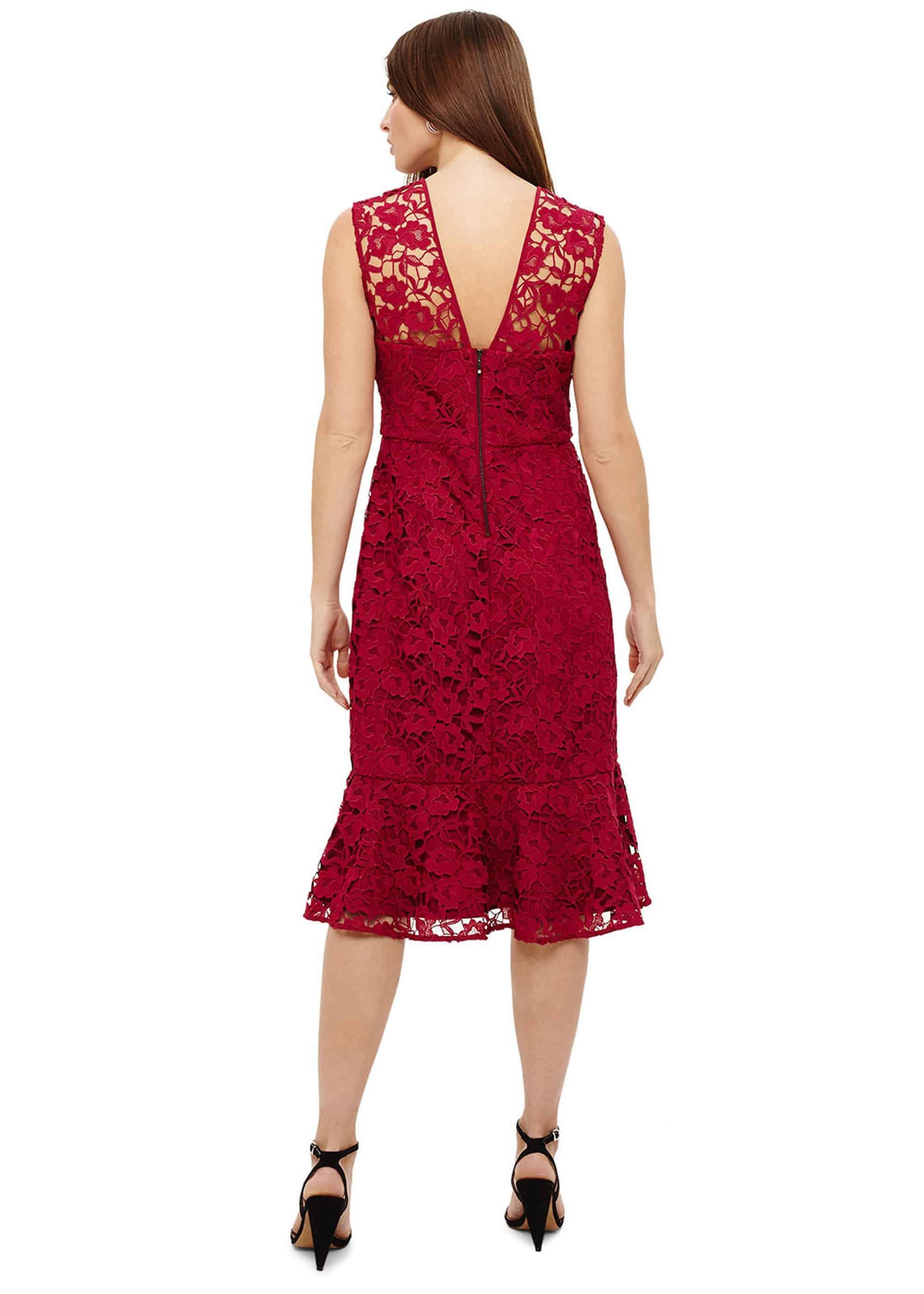 Sabby Lace Dress
