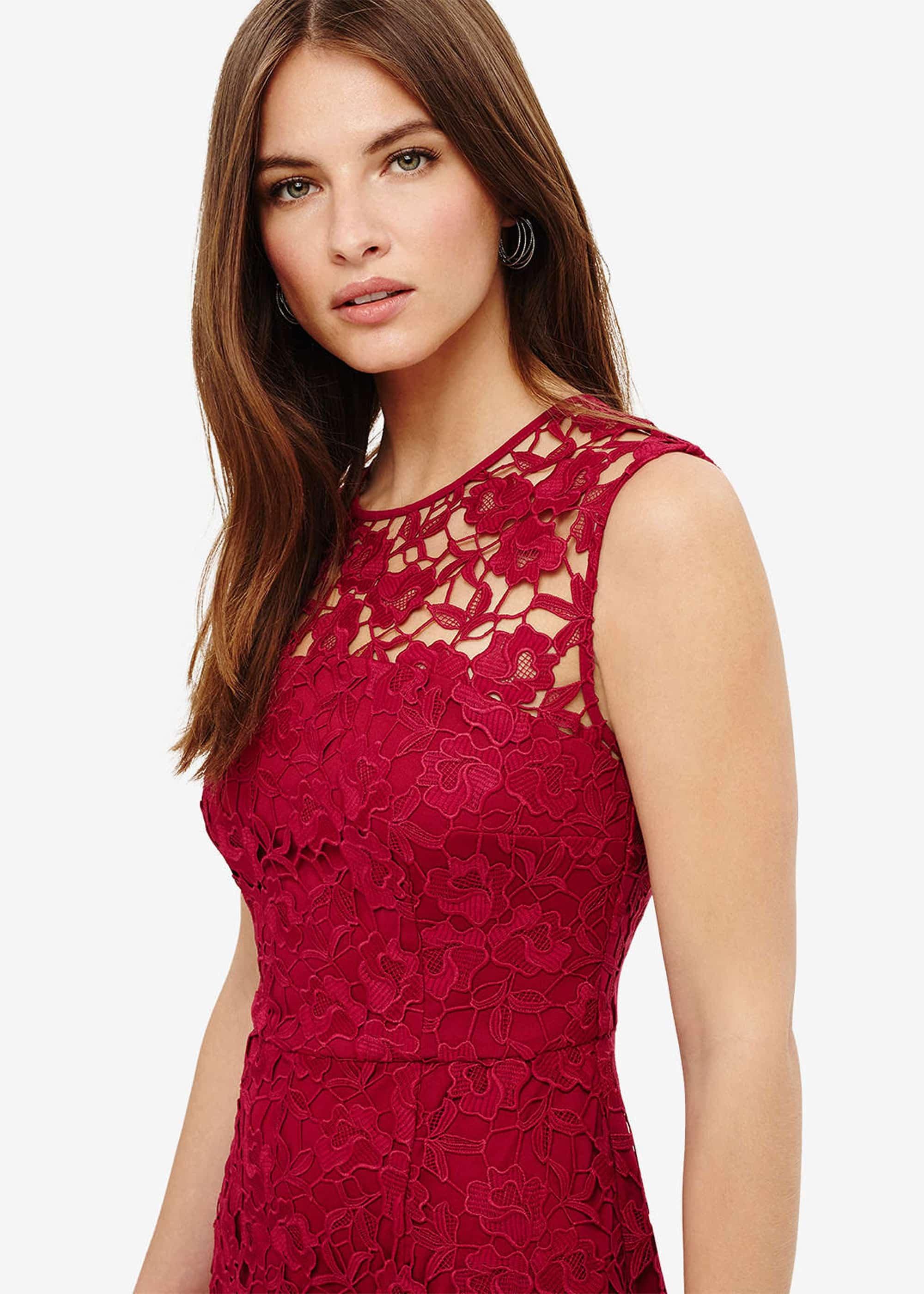 Sabby Lace Dress