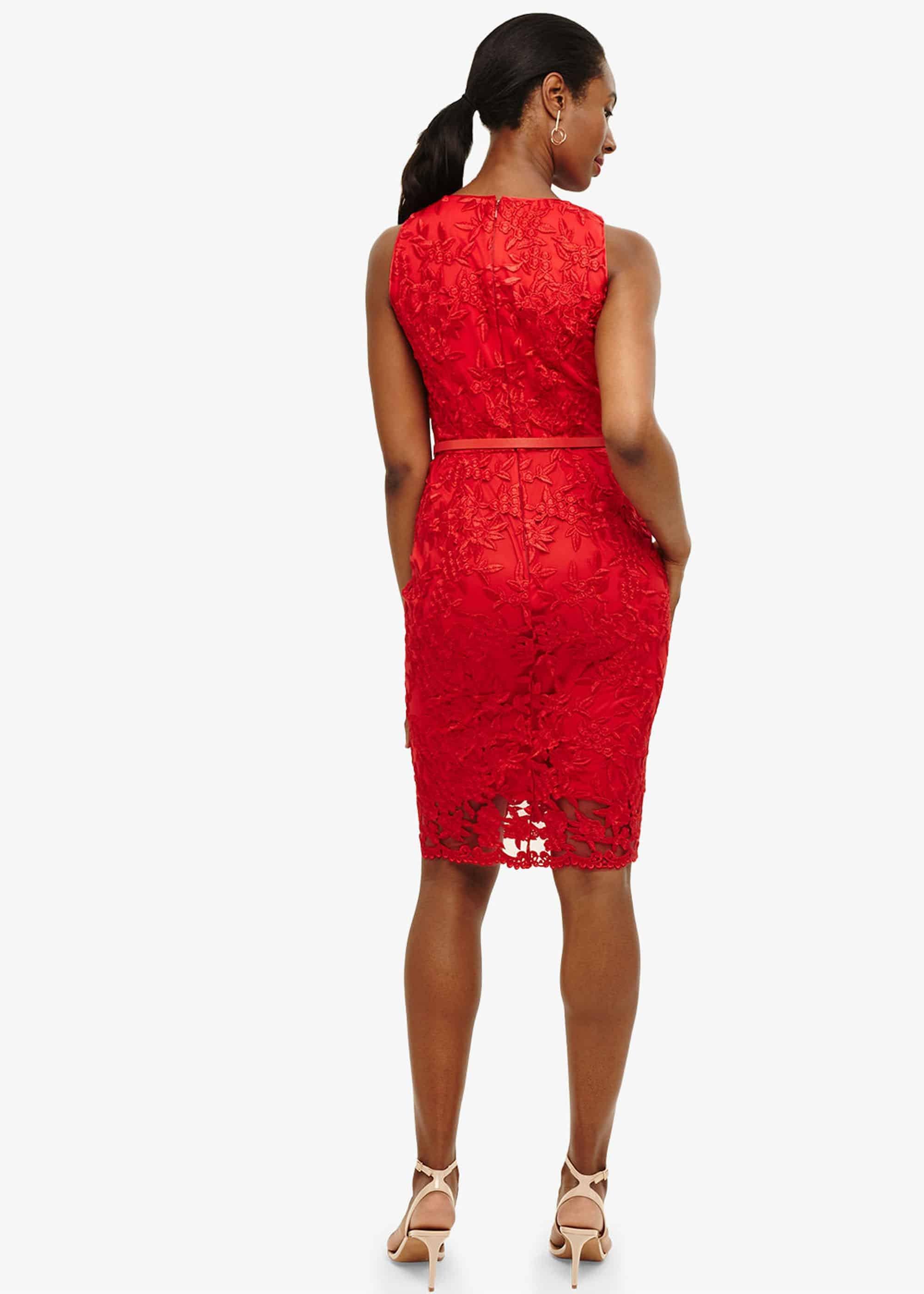 Alina Embroidered Dress
