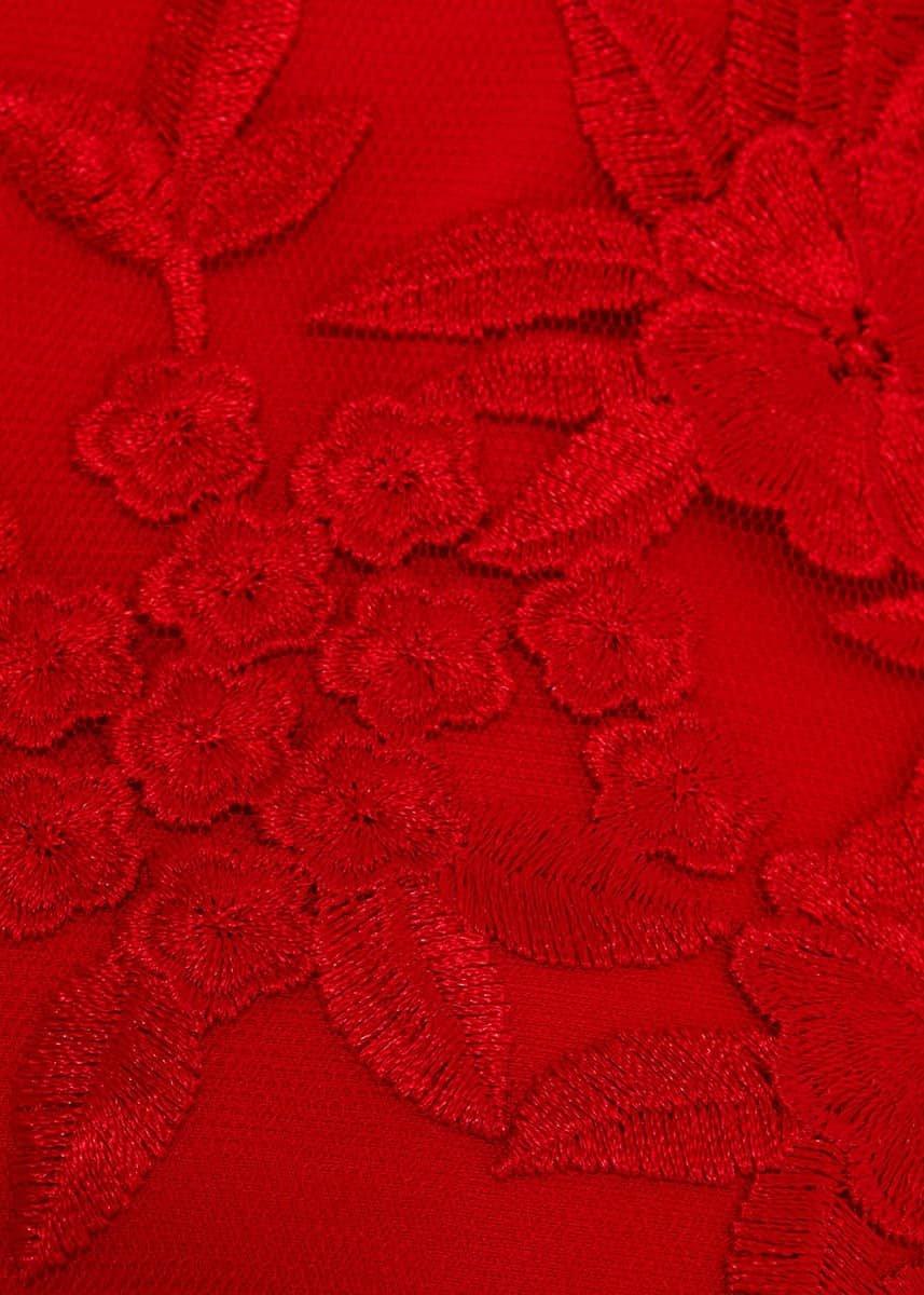 Alina Embroidered Dress