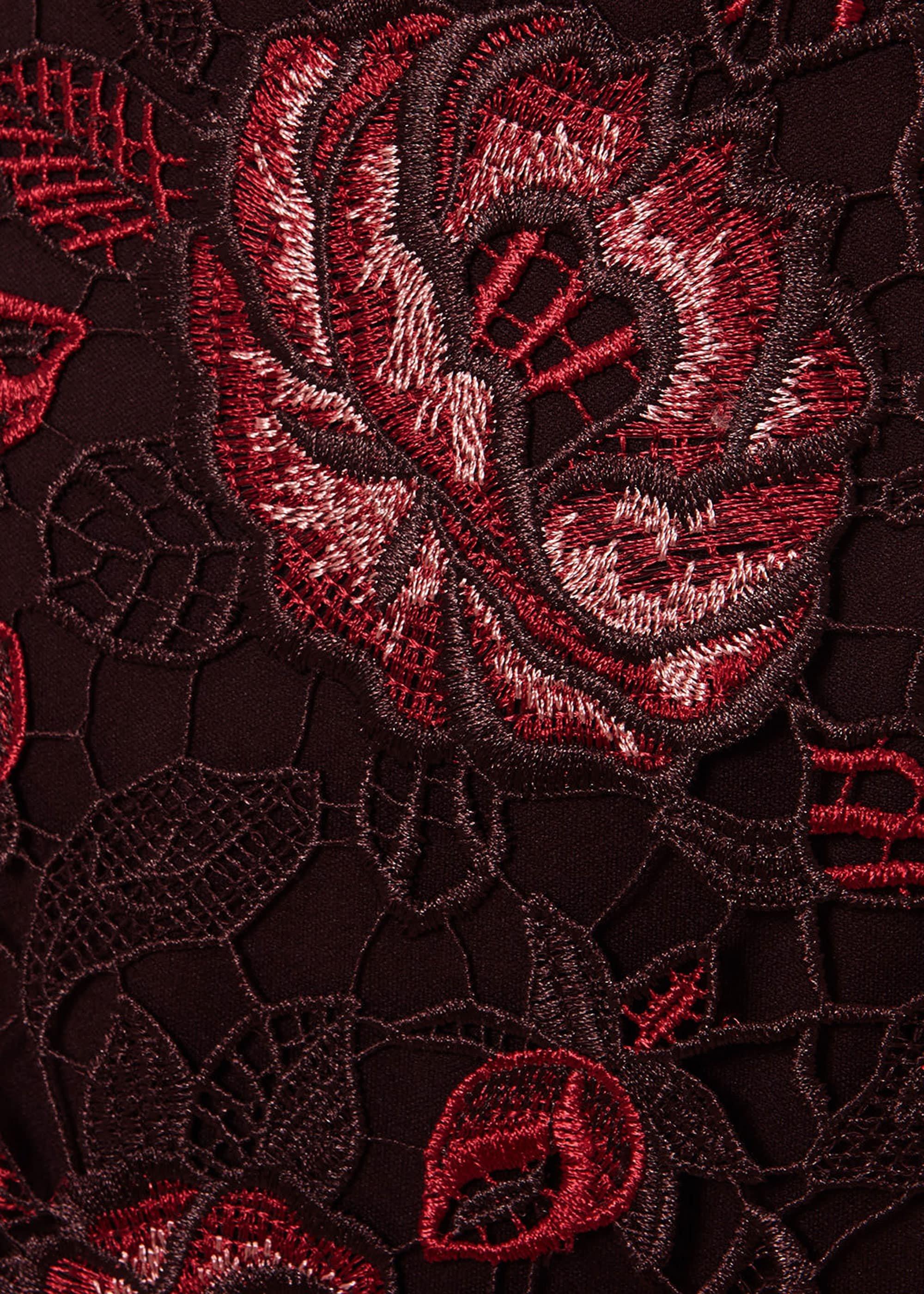 Belle Lace Dress