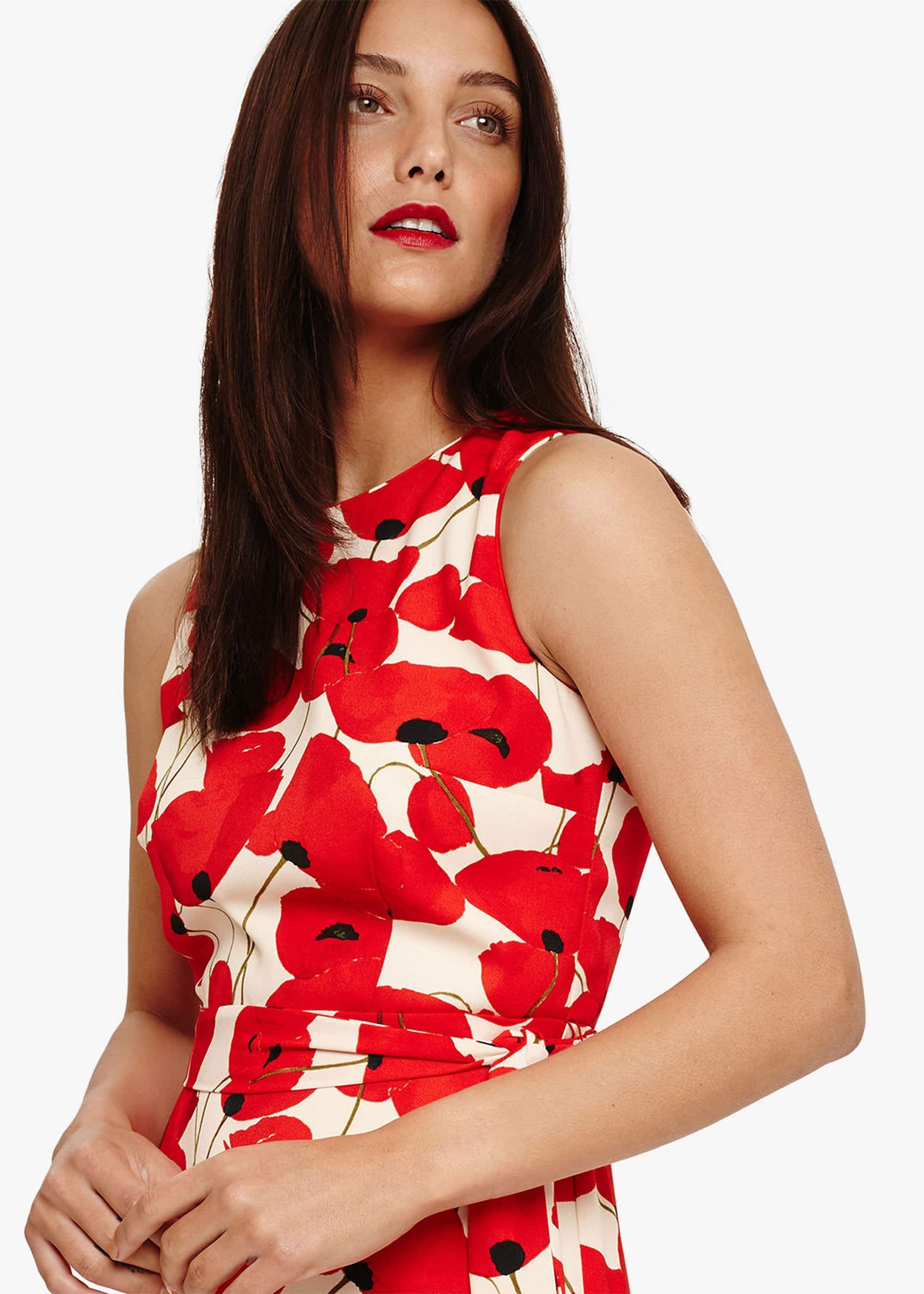 Dorothy Poppy Frill Dress | Phase Eight UK |