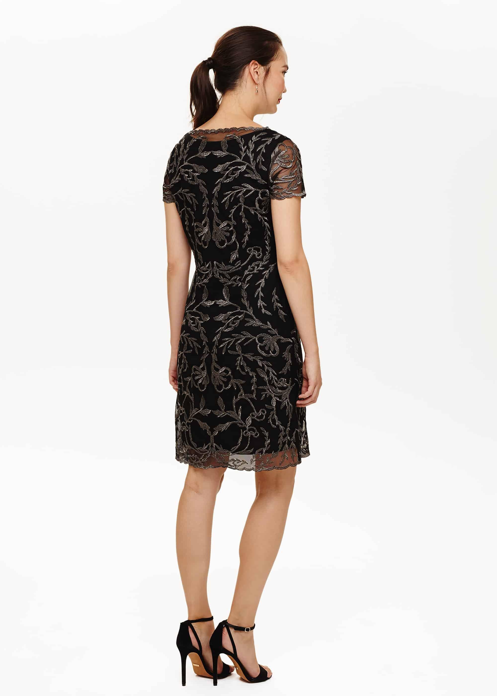 Alannah Embroidered Mesh Dress