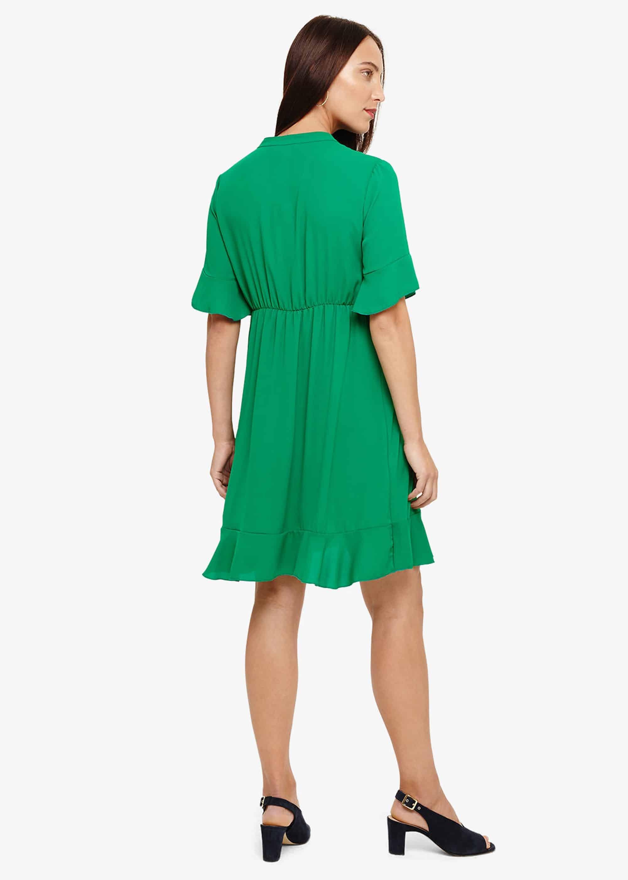 Sarah Frill Dress