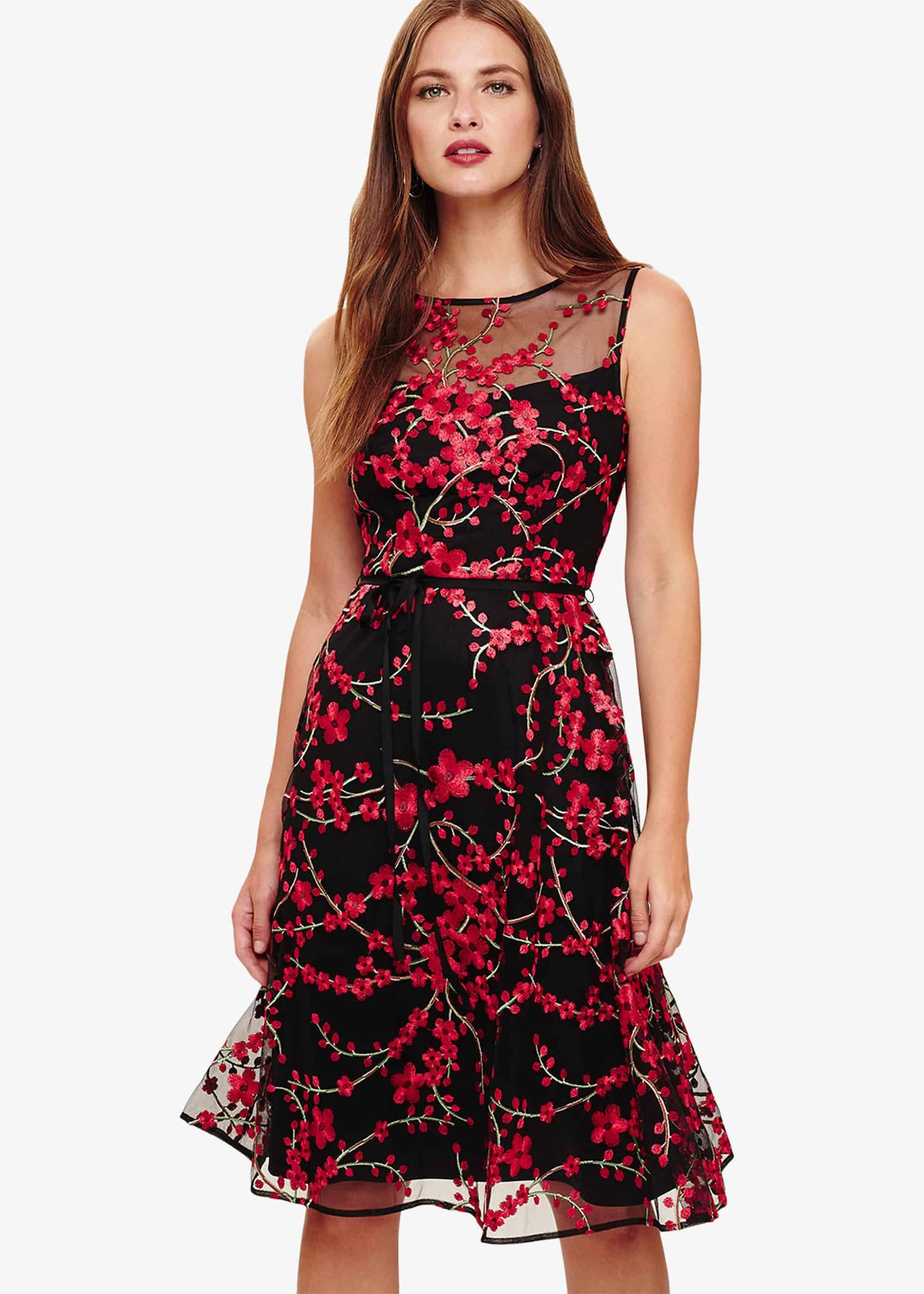 Sable Embroidered Dress
