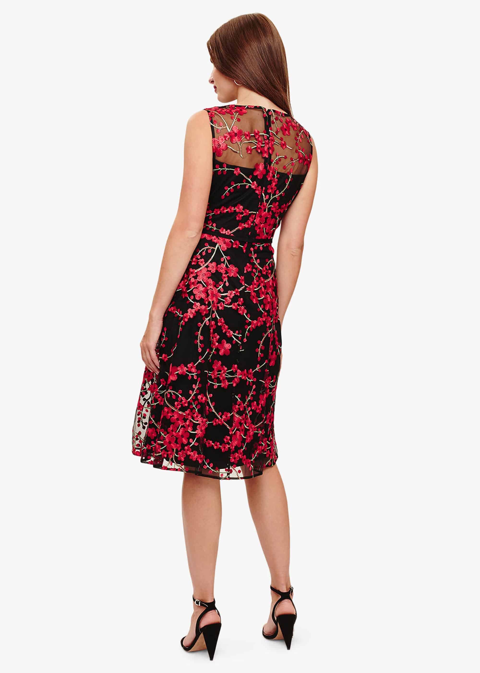 Sable Embroidered Dress