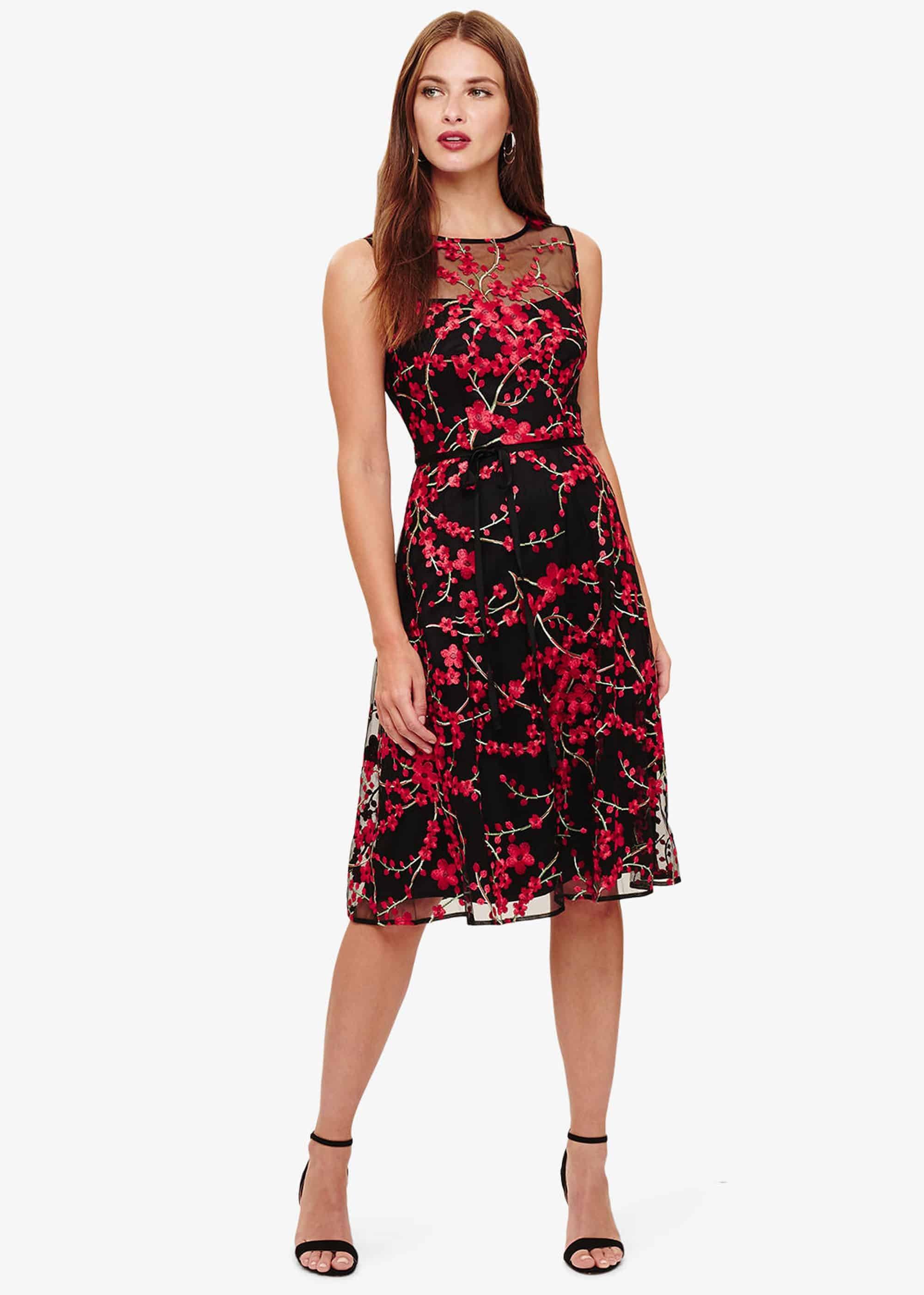 Sable Embroidered Dress