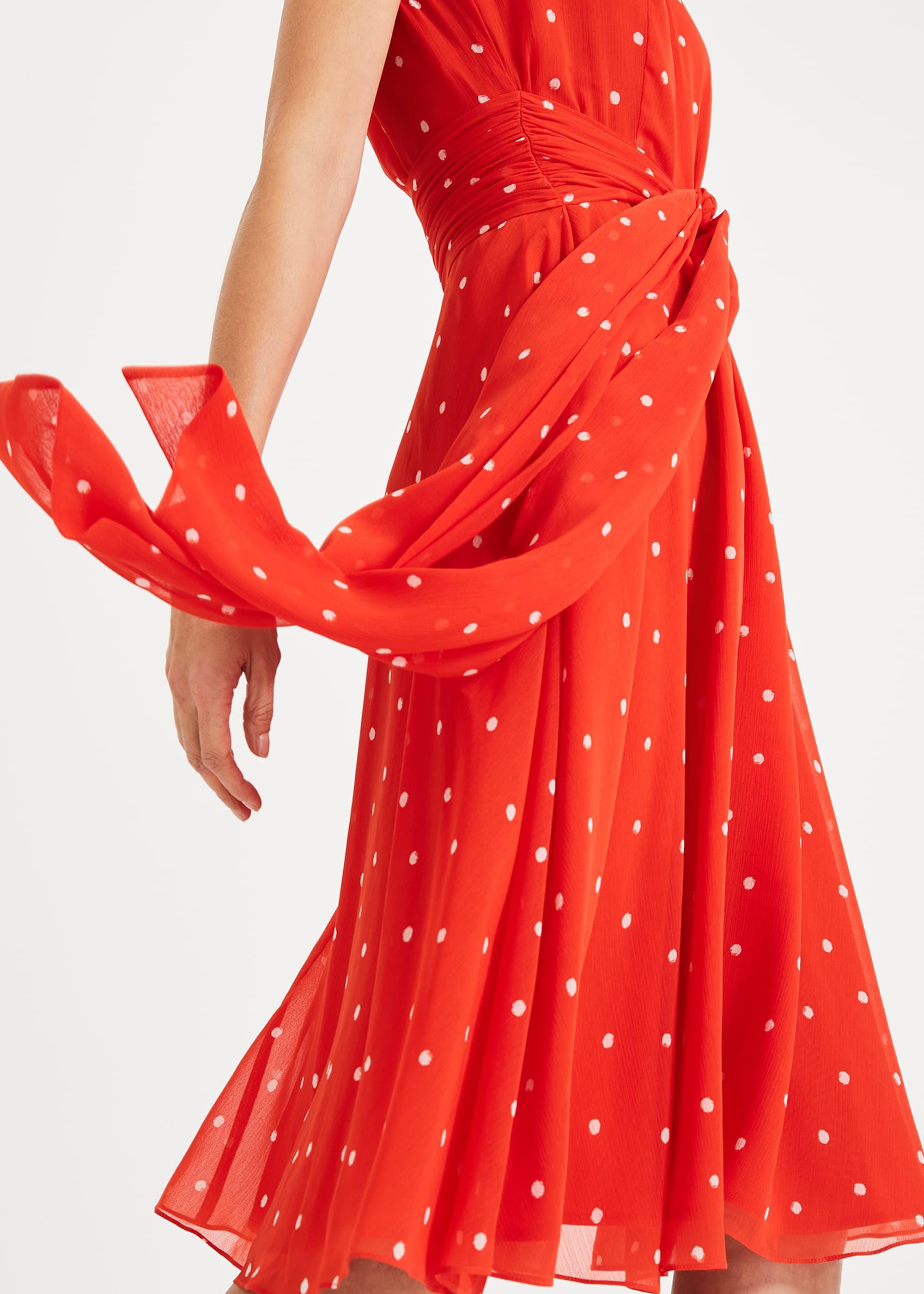 Fernanda Spot Dress