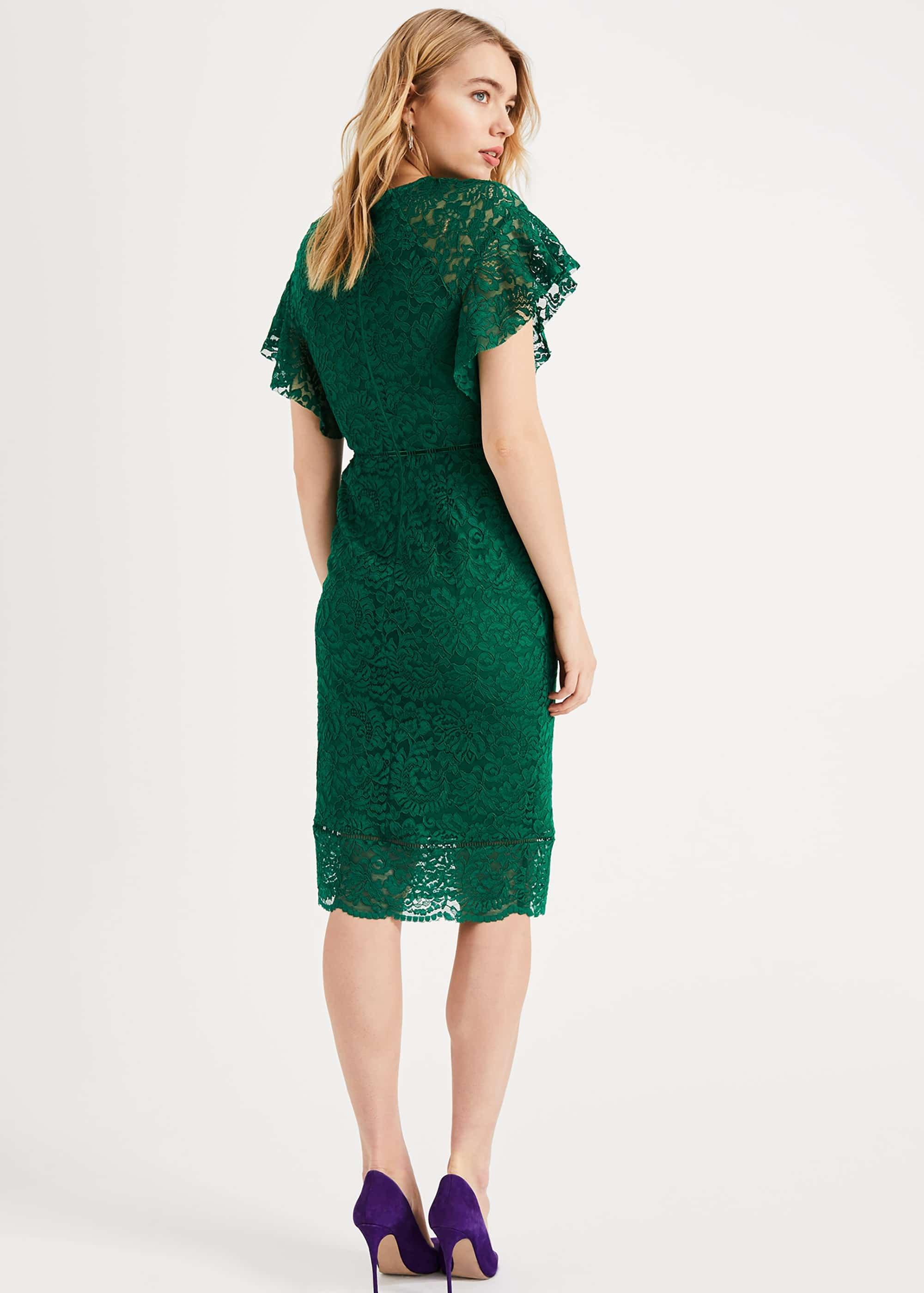 Ninette Frill Sleeve Lace Dress