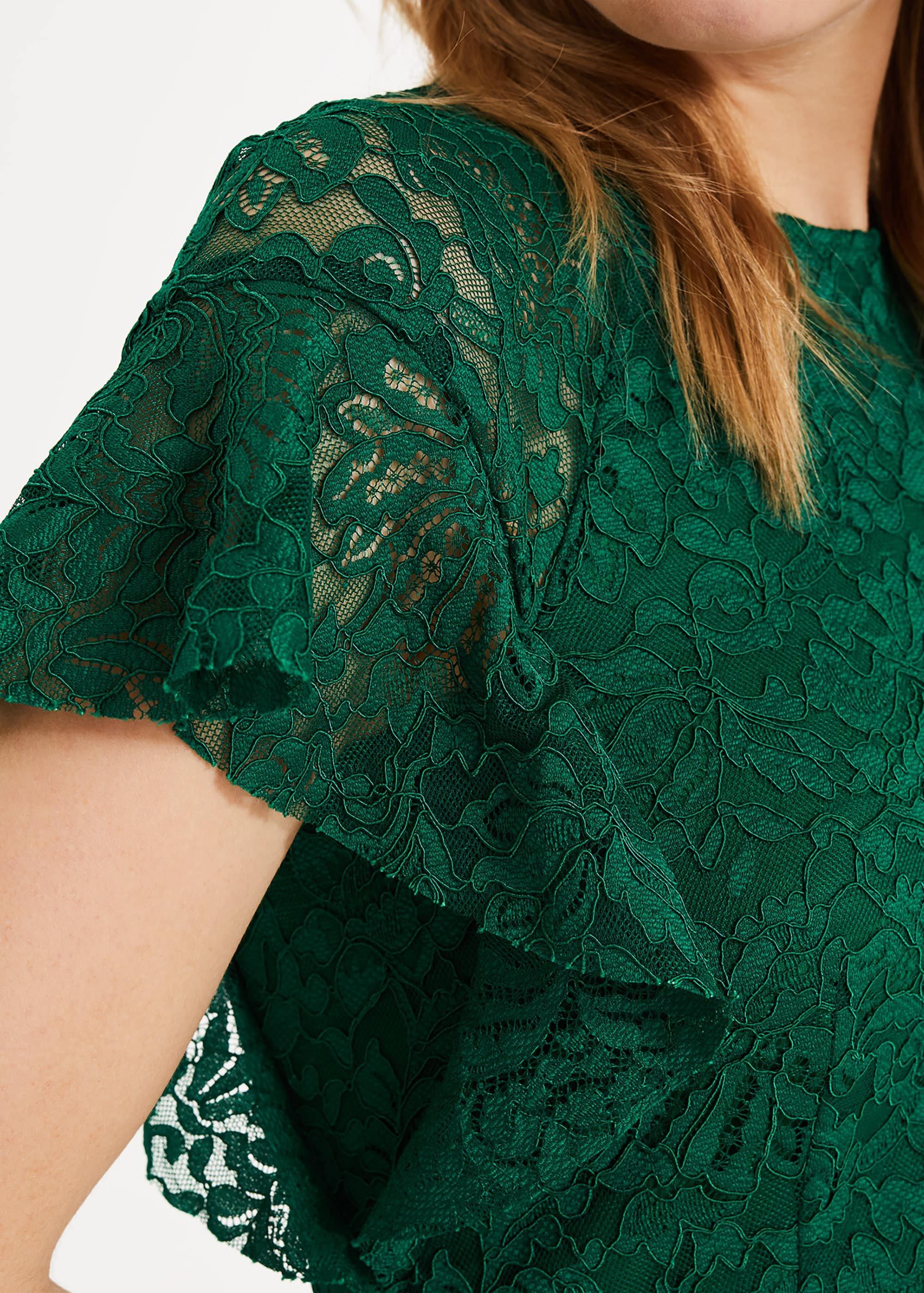 Ninette Frill Sleeve Lace Dress