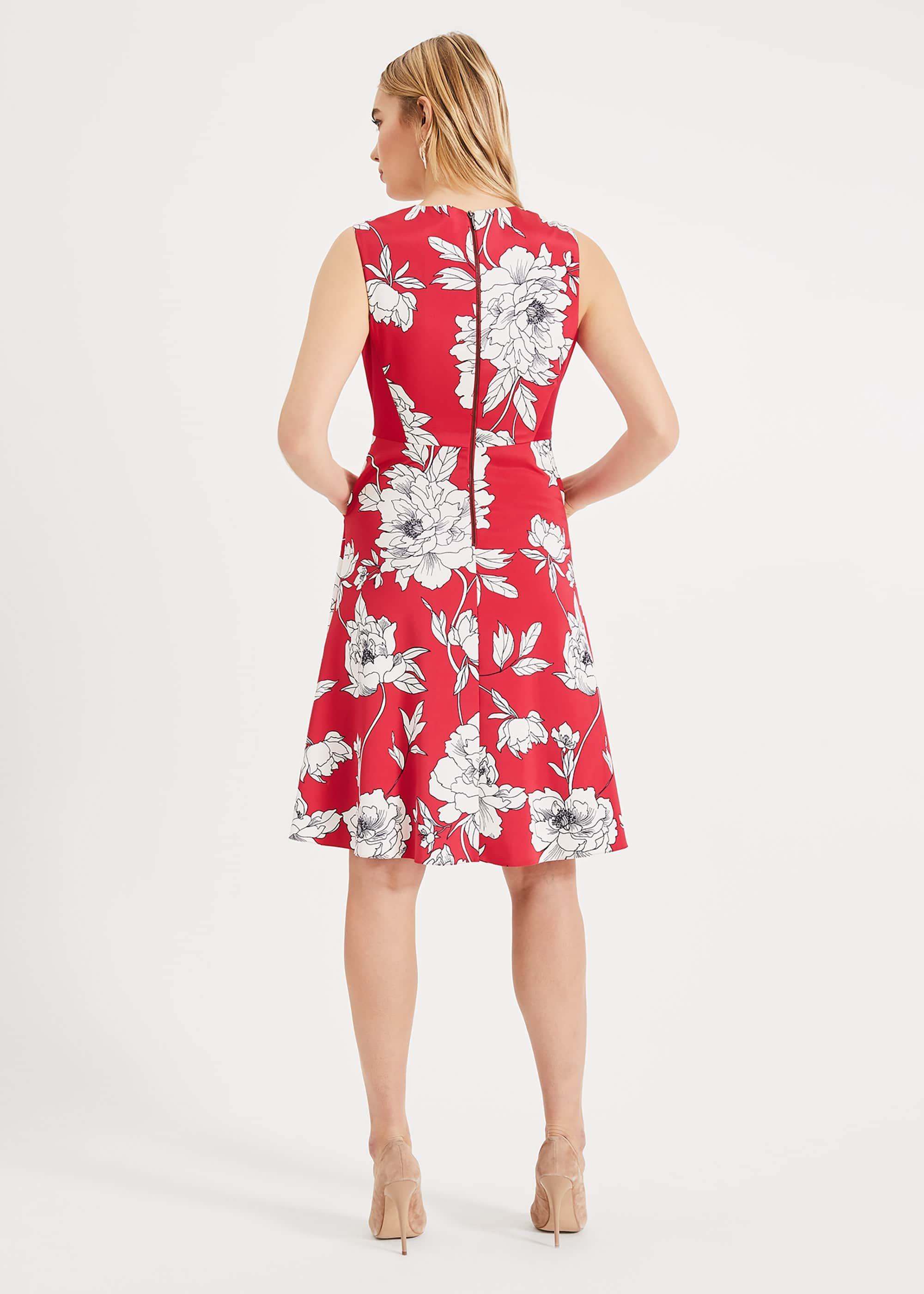 Eve Floral Fit & Flare Dress