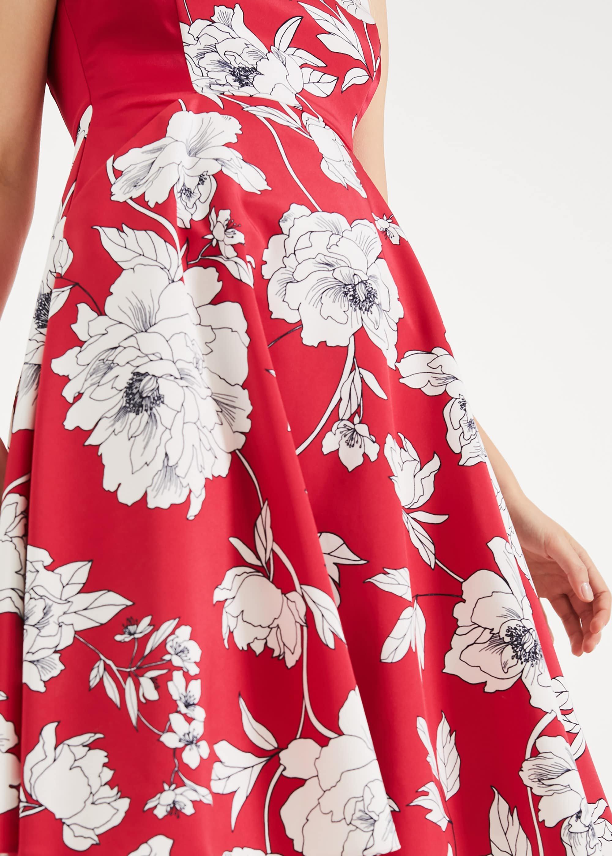 Eve Floral Fit & Flare Dress