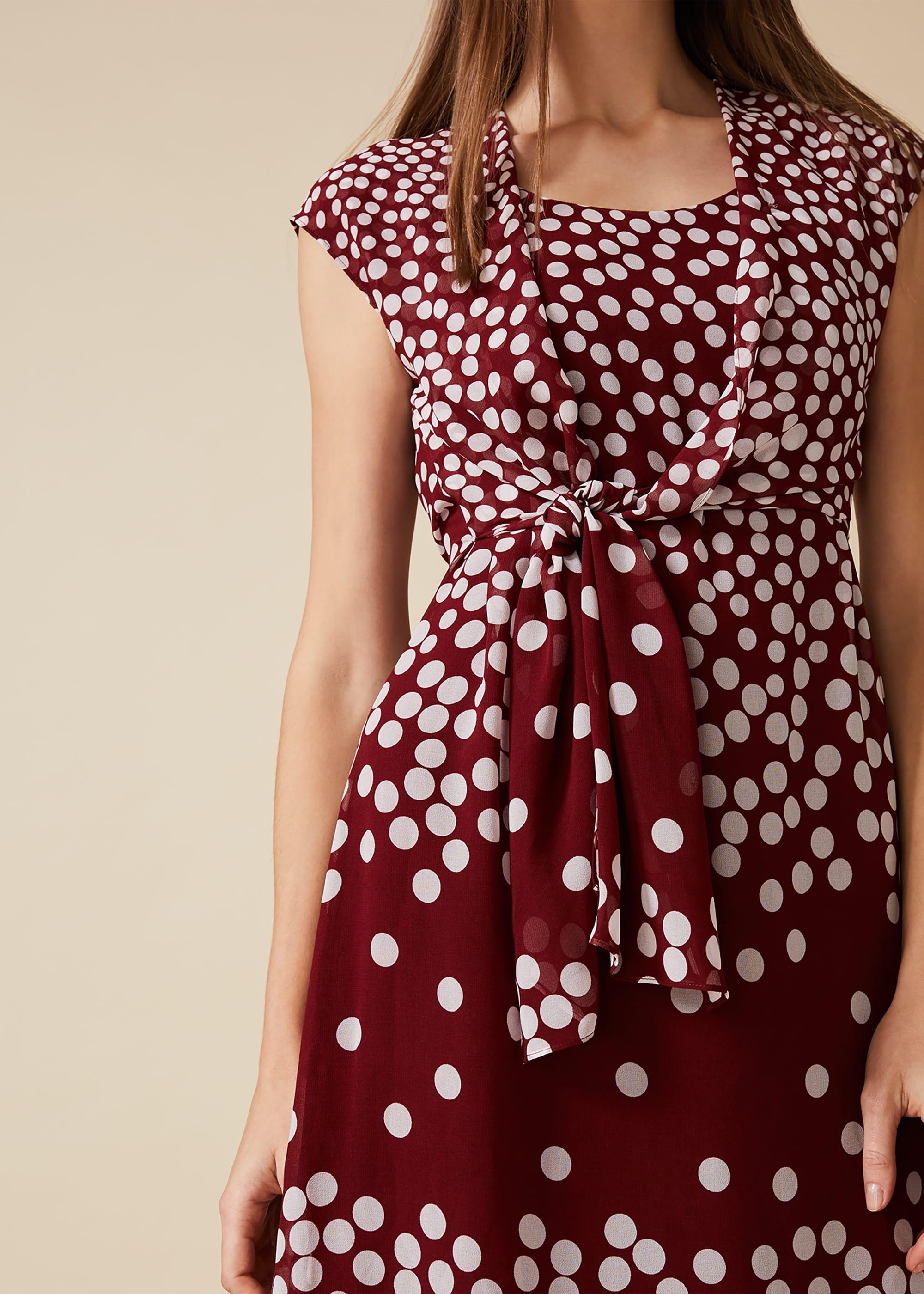 Candice Spot Dress
