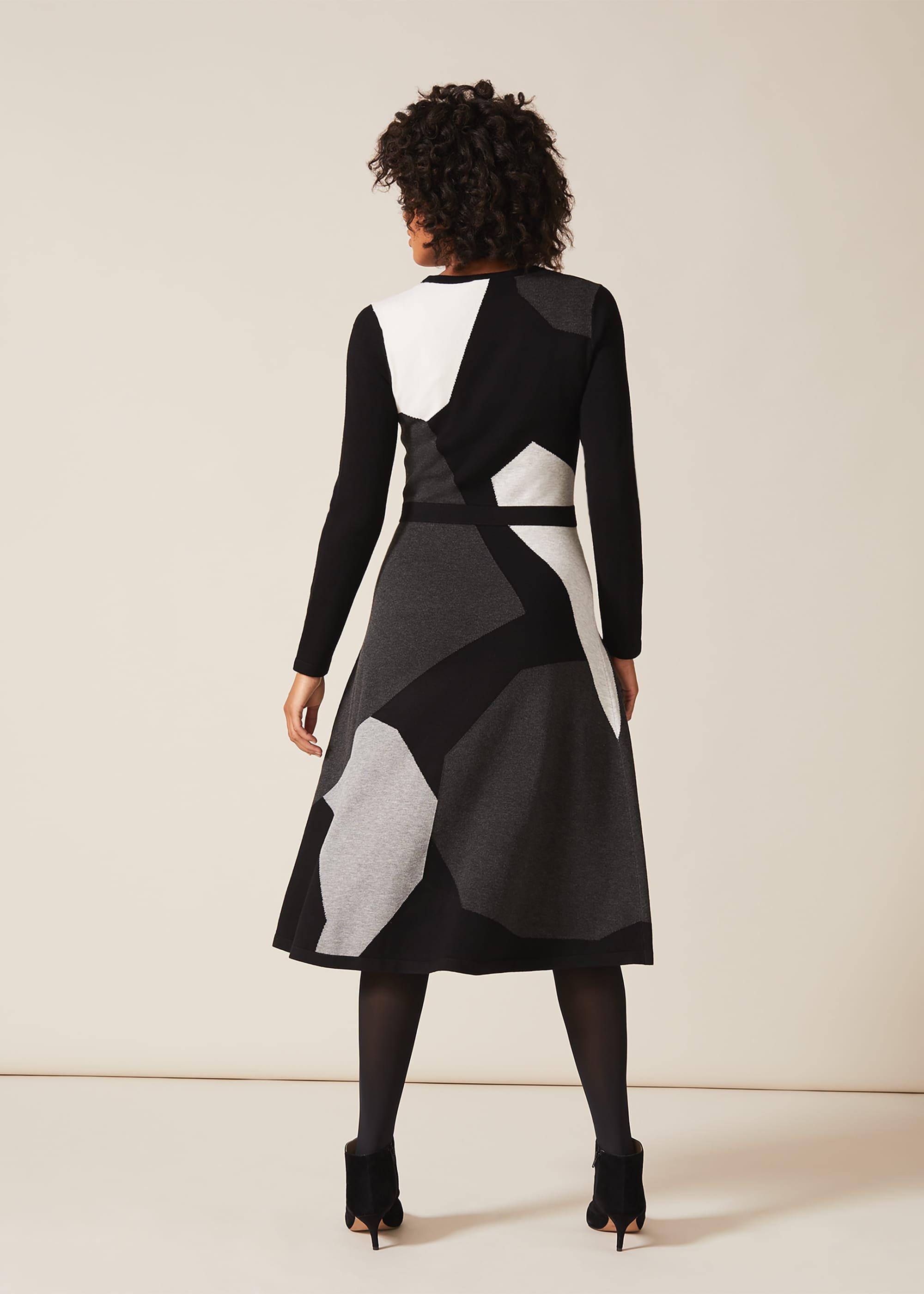Fran Fit And Flare Panel Dress