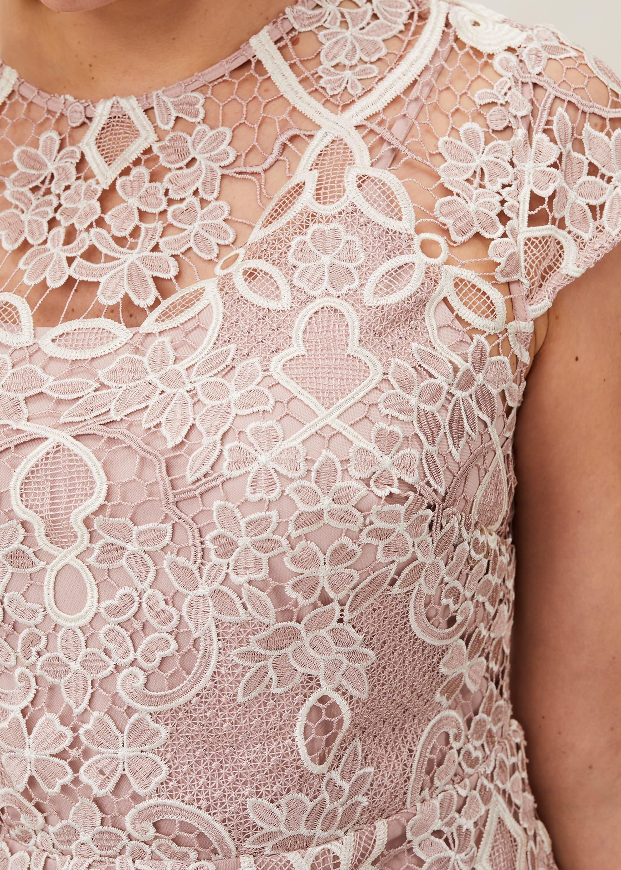 Frances Lace Fitted Dress