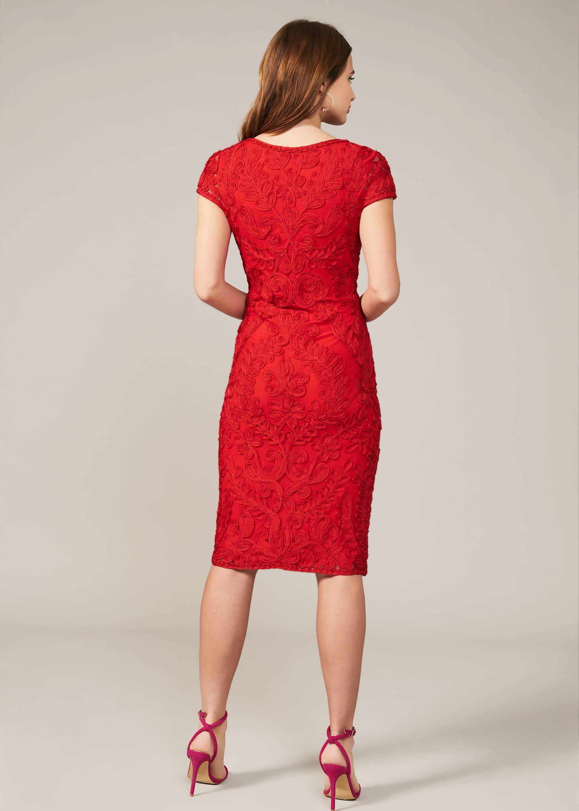 Cat Tapework Lace Fitted Dress