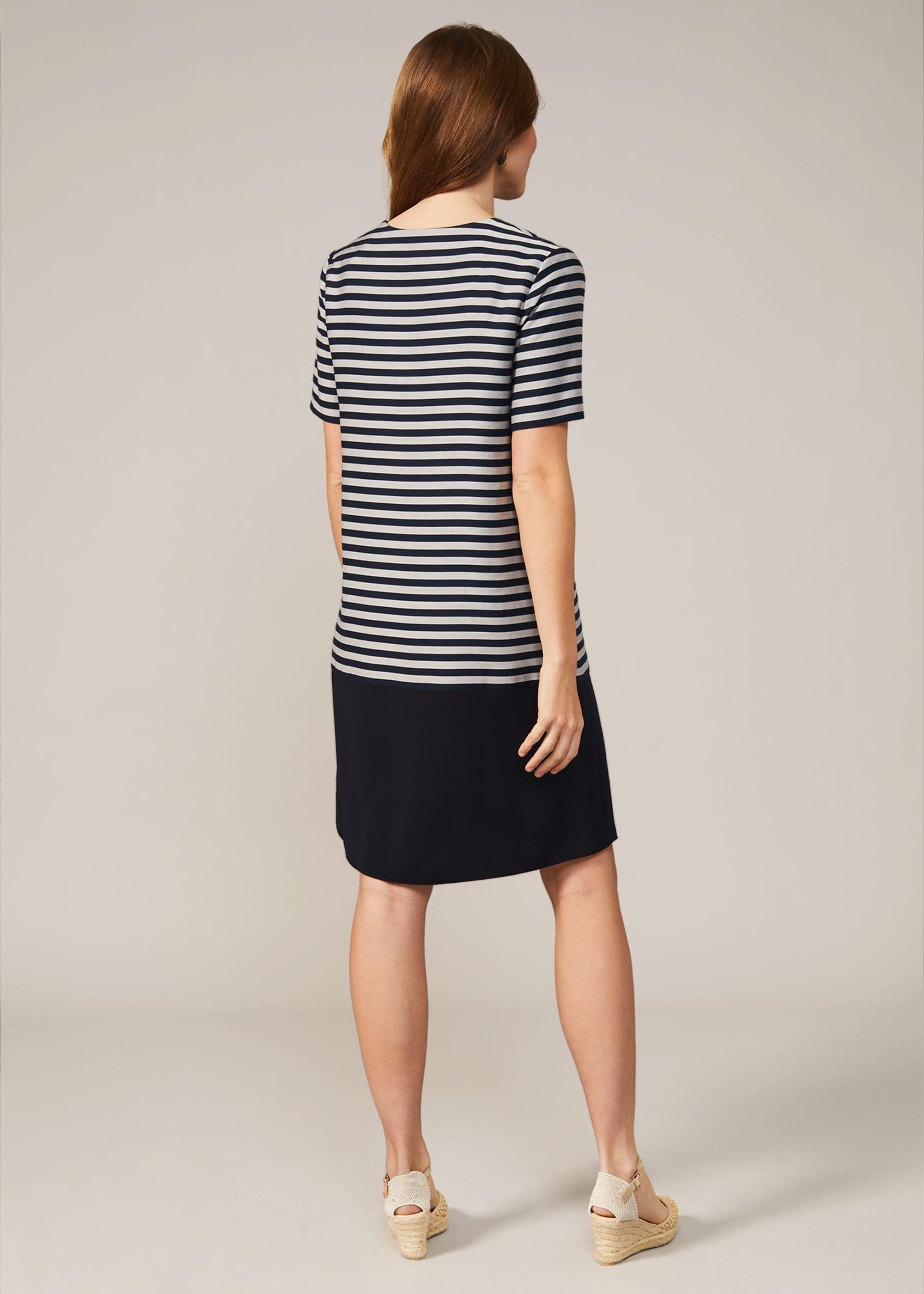 Milia Stripe Swing Dress