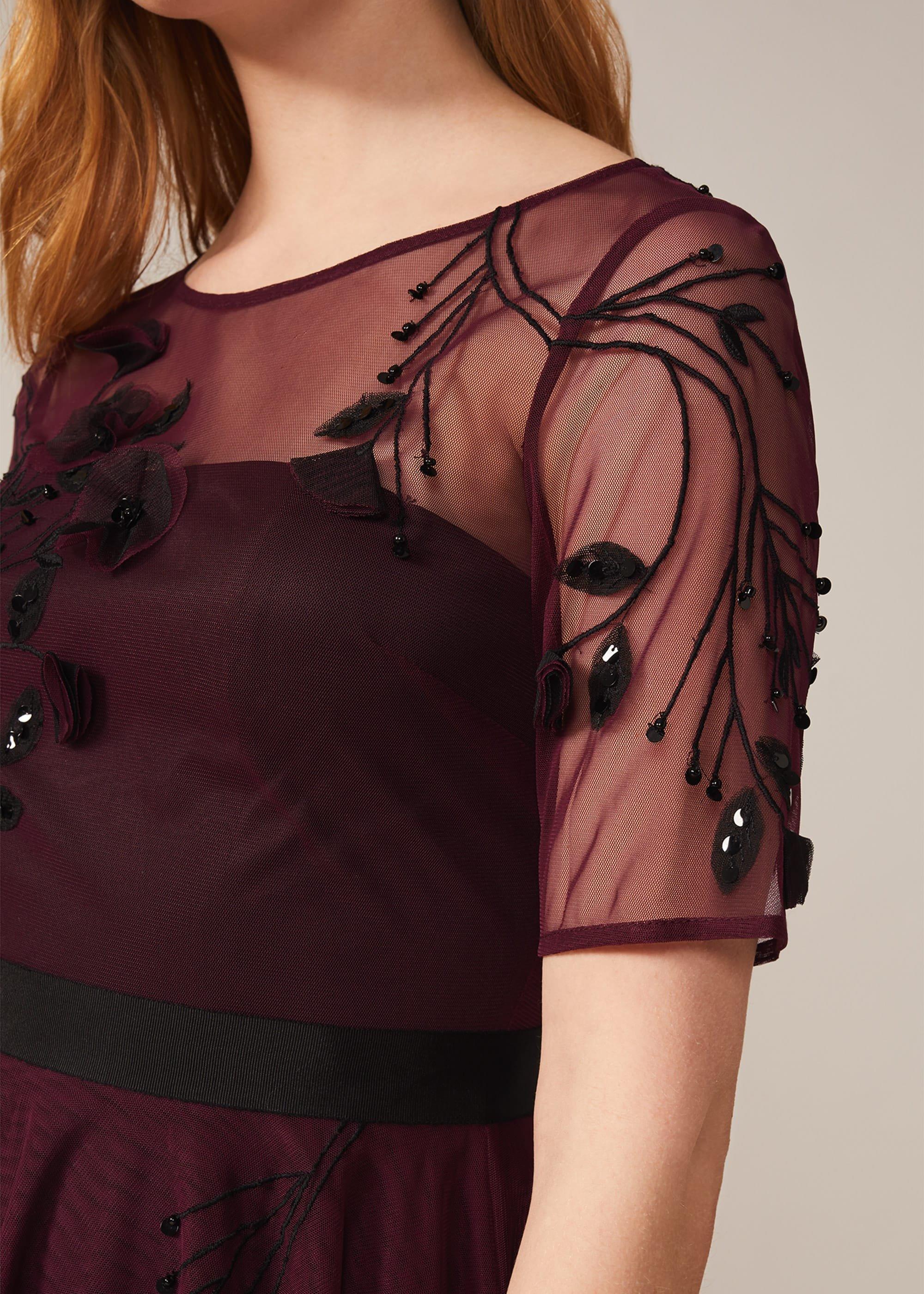 Felicia Embroidered Tulle Dress