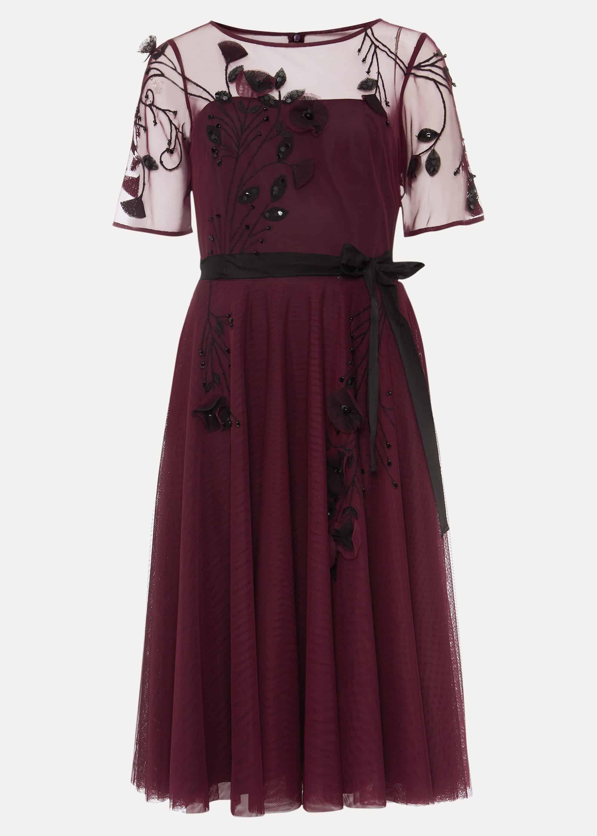 Felicia Embroidered Tulle Dress