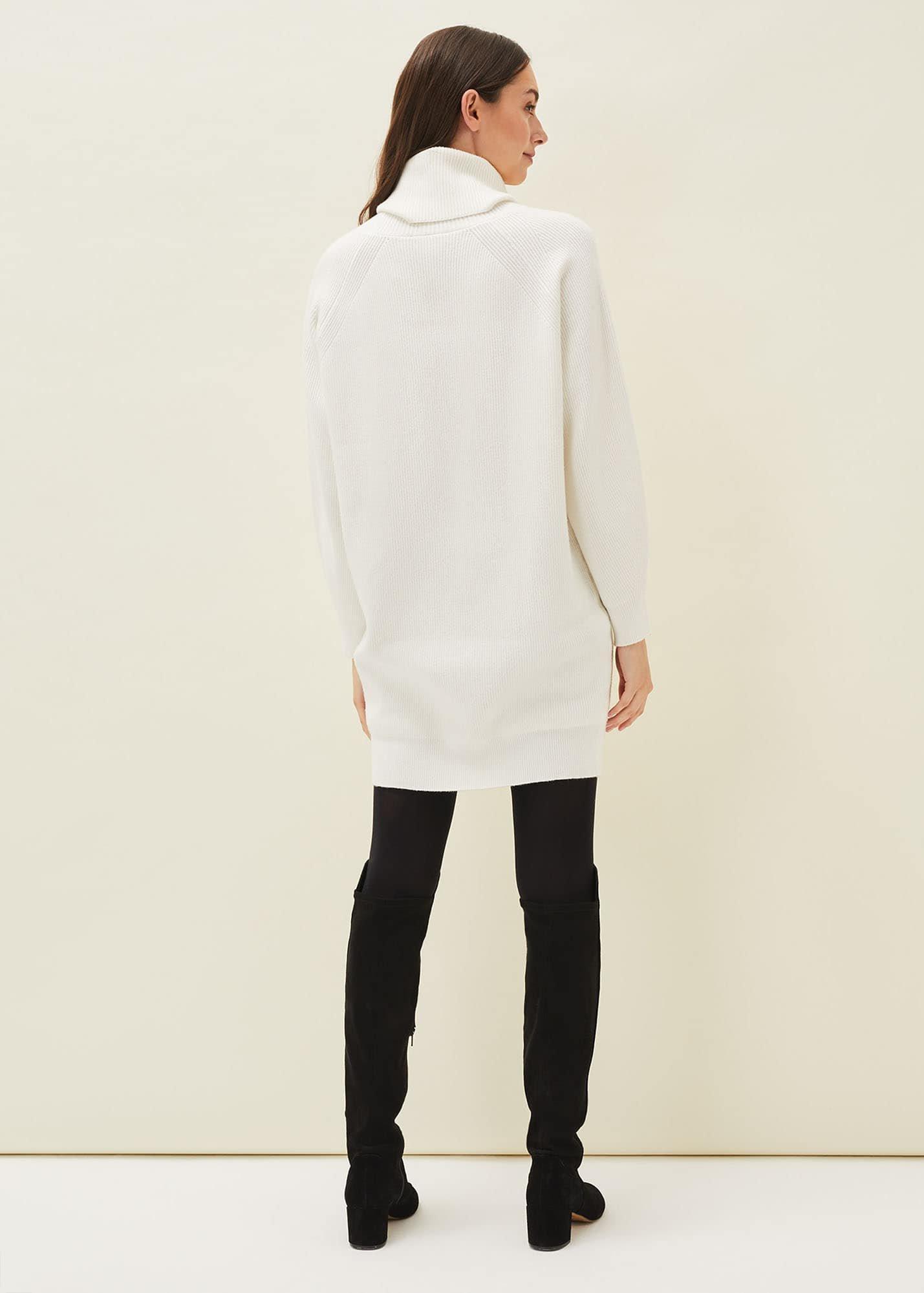 Nisha Roll Neck Jumper Dress