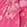 Neon Pink