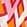 Pink/Orange