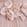 Antique Rose