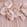 Antique Rose