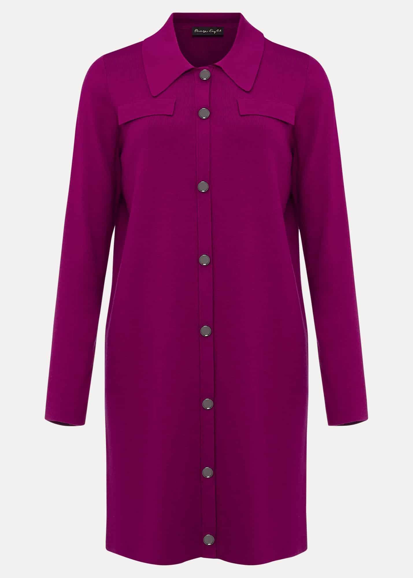 Azealia Fine Knit Collared Tunic Dress