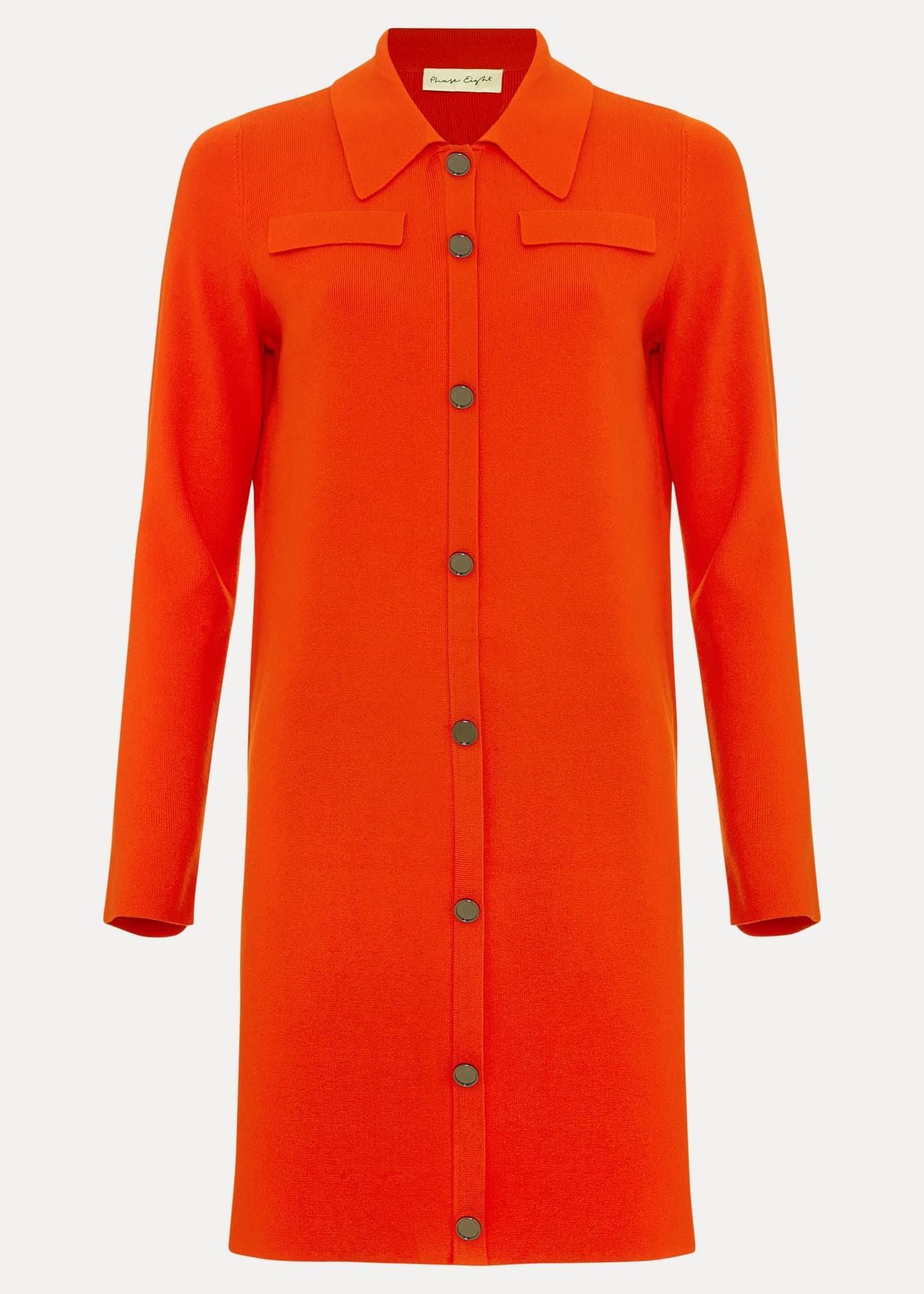 Azealia Fine Knit Collared Tunic Dress