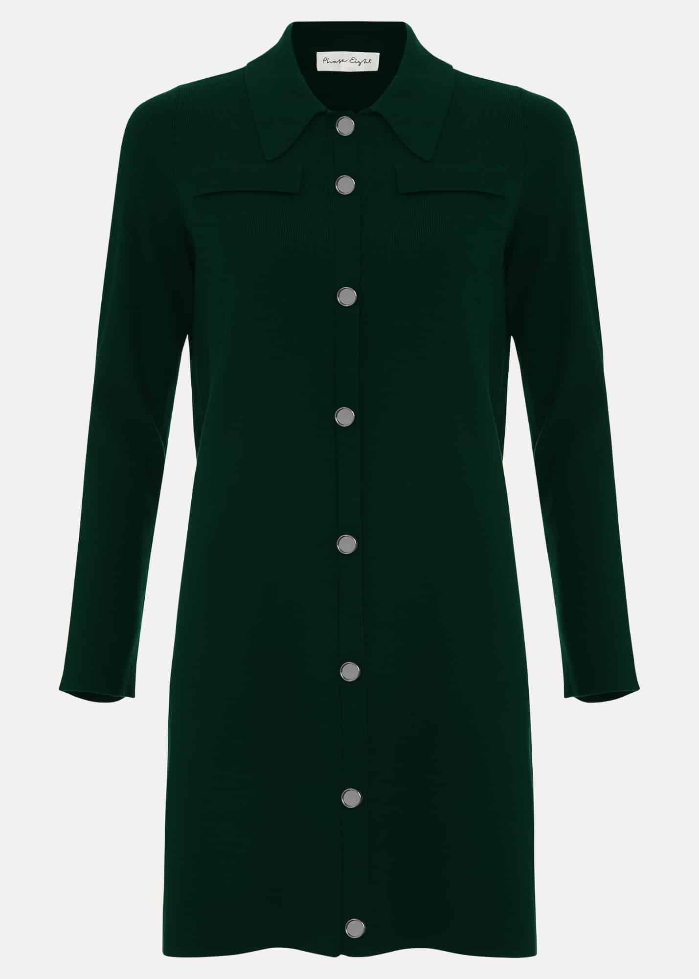 Azealia Fine Knit Collared Tunic Dress