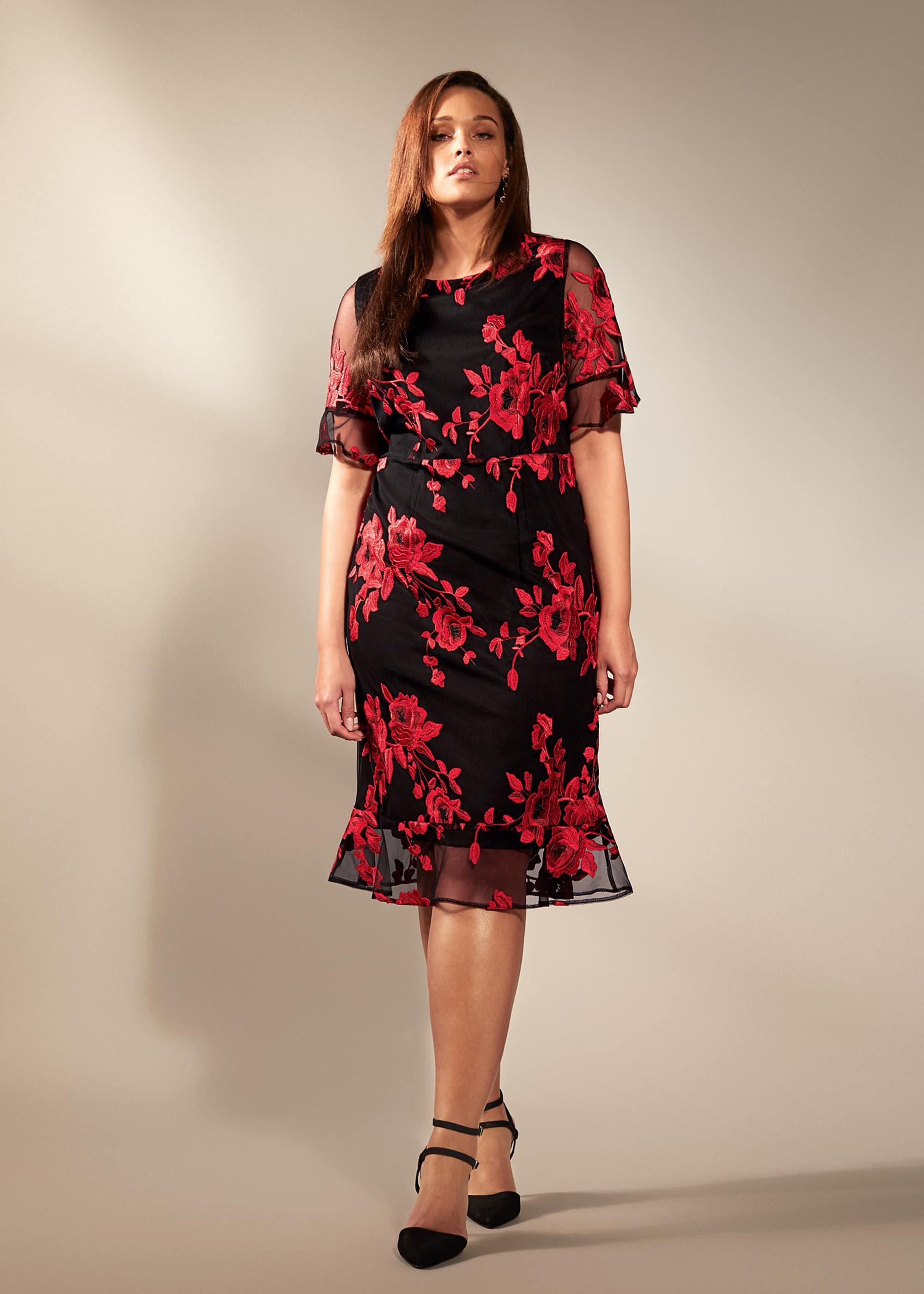 Raven Embroidered Dress