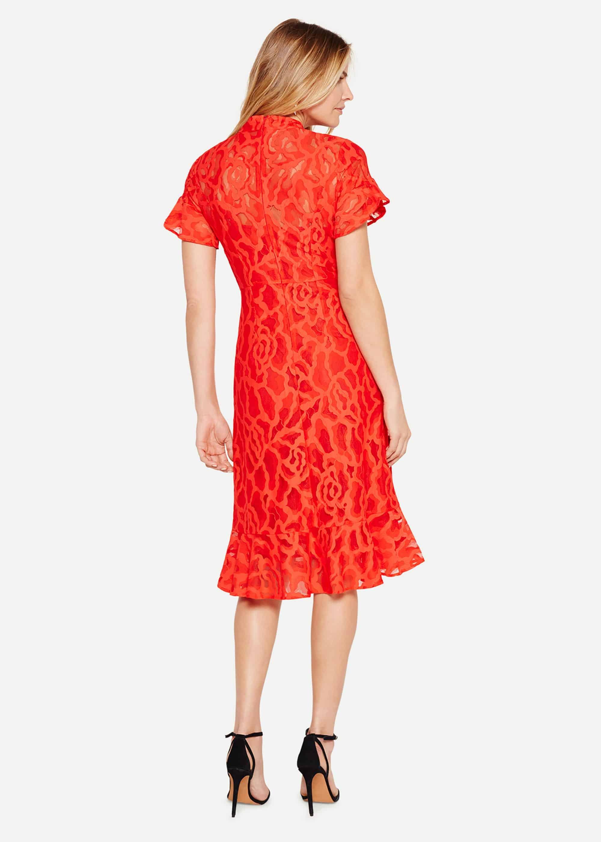 Lulu Lace Dress