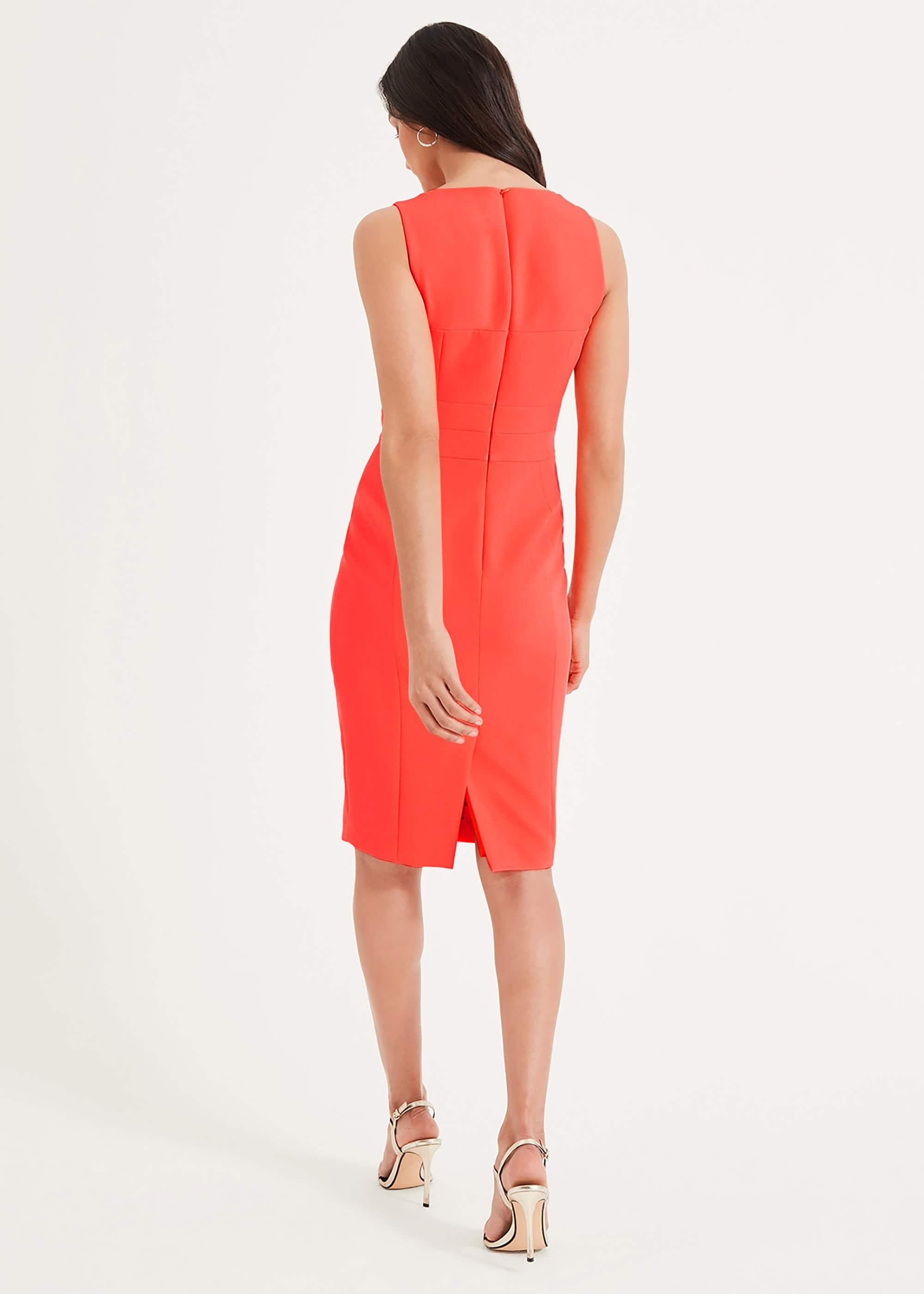 Vida Fitted Dress