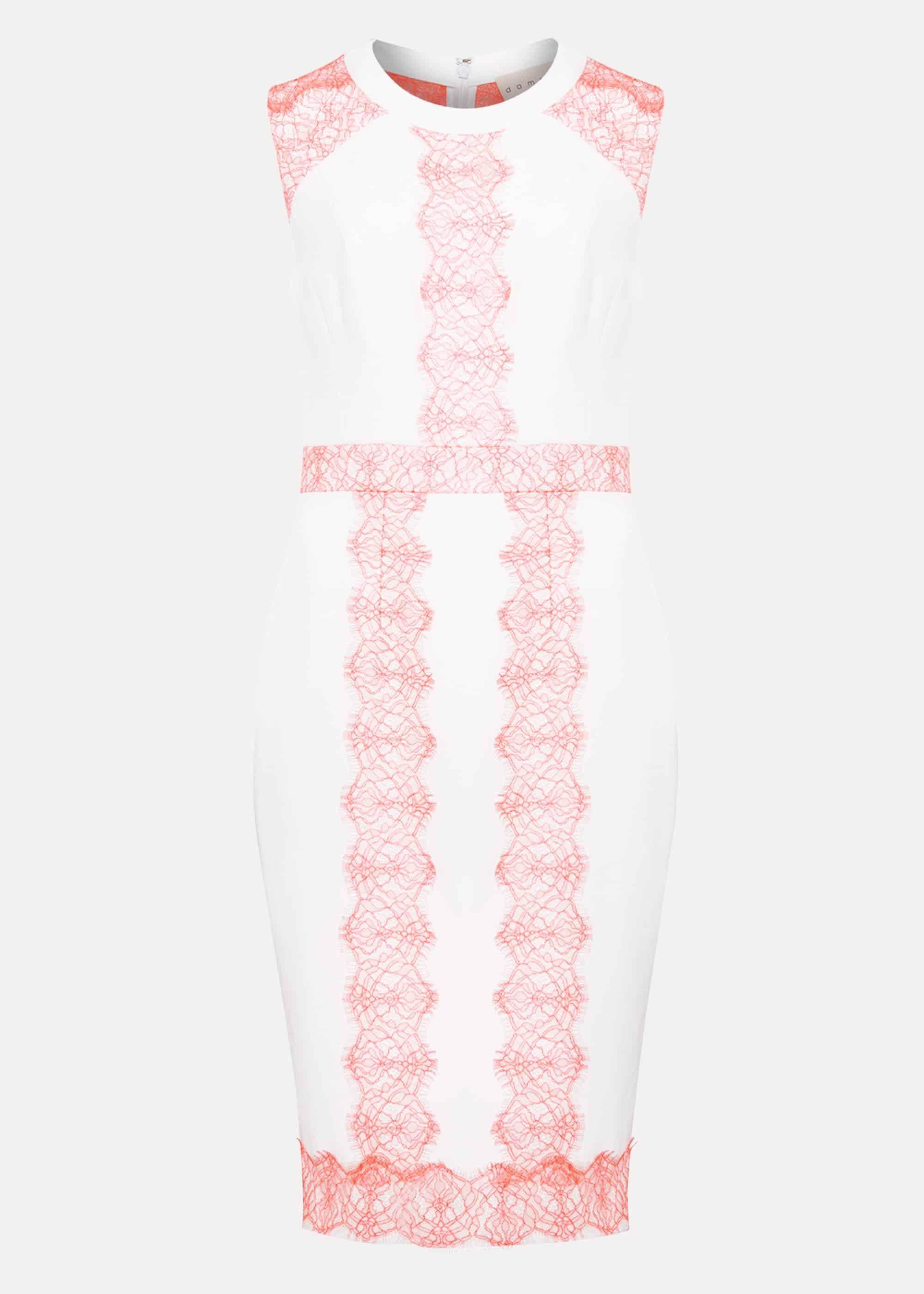 Akaria Lace Panel Dress