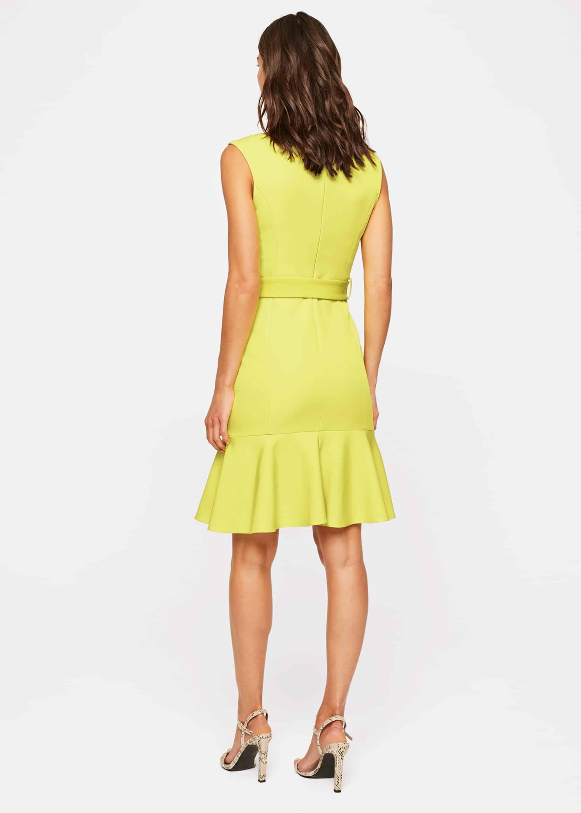 Edsel Fitted Dress