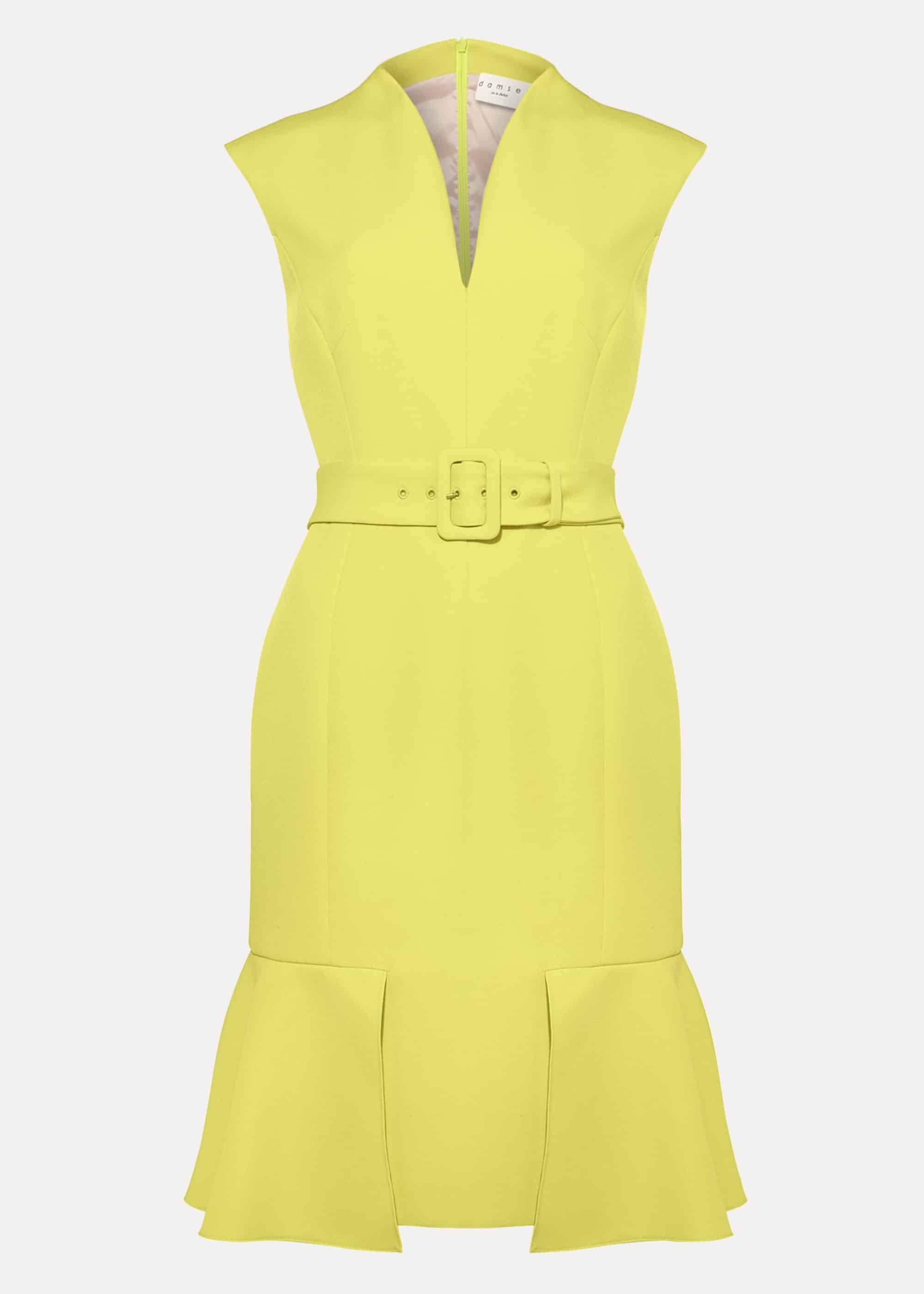 Edsel Fitted Dress
